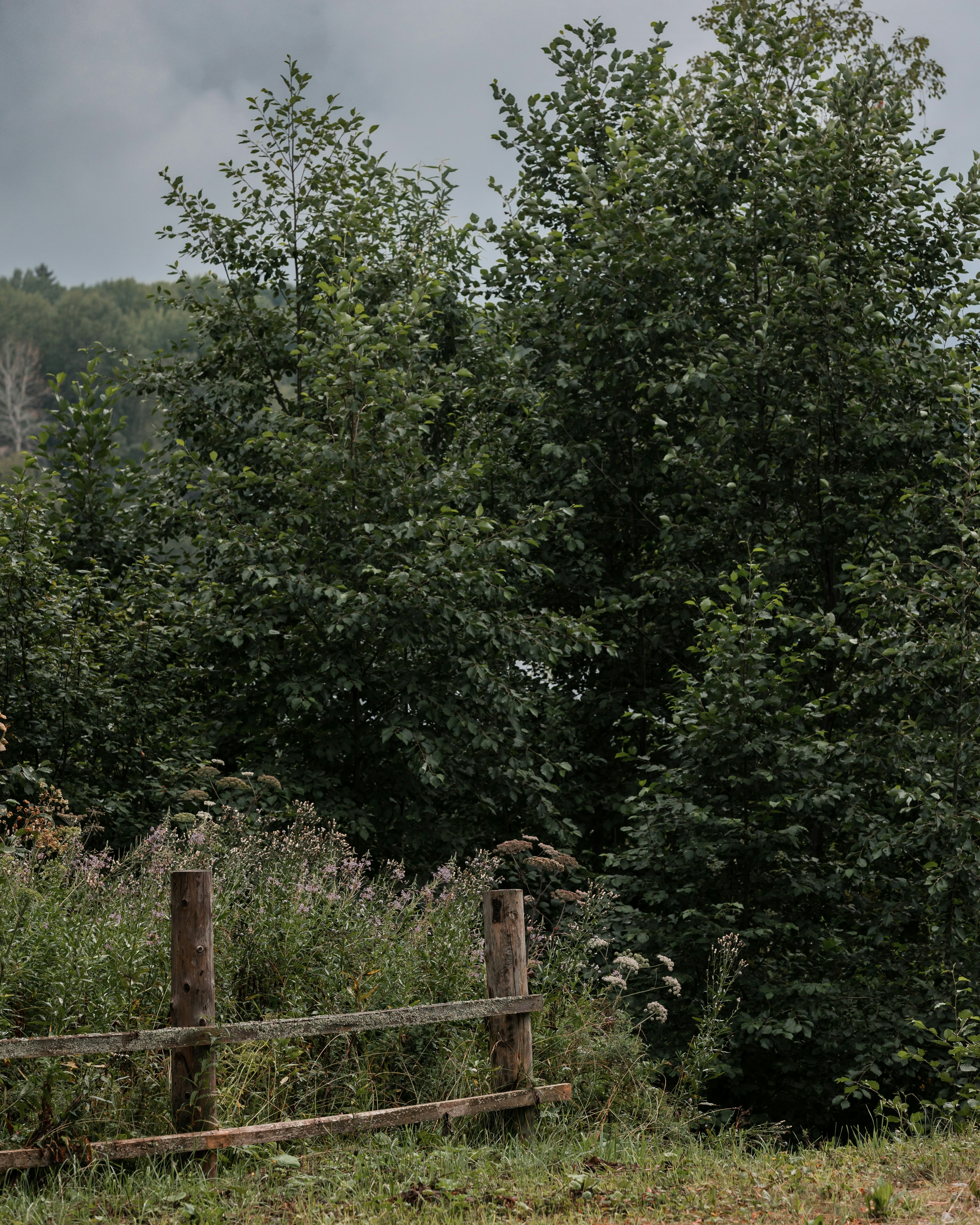 Photo by lastmanpaul