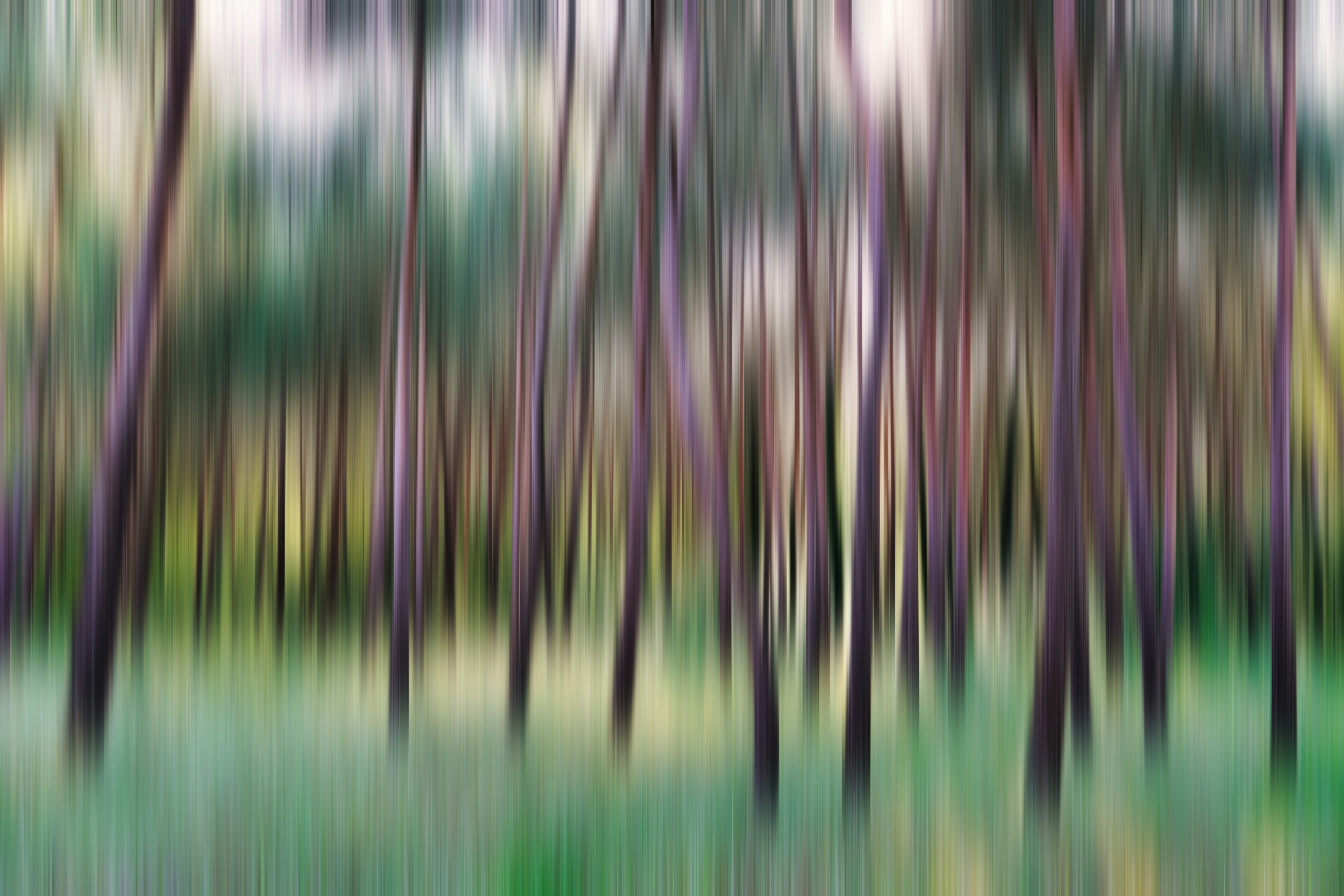 Photo by hamburgmeinefreundin