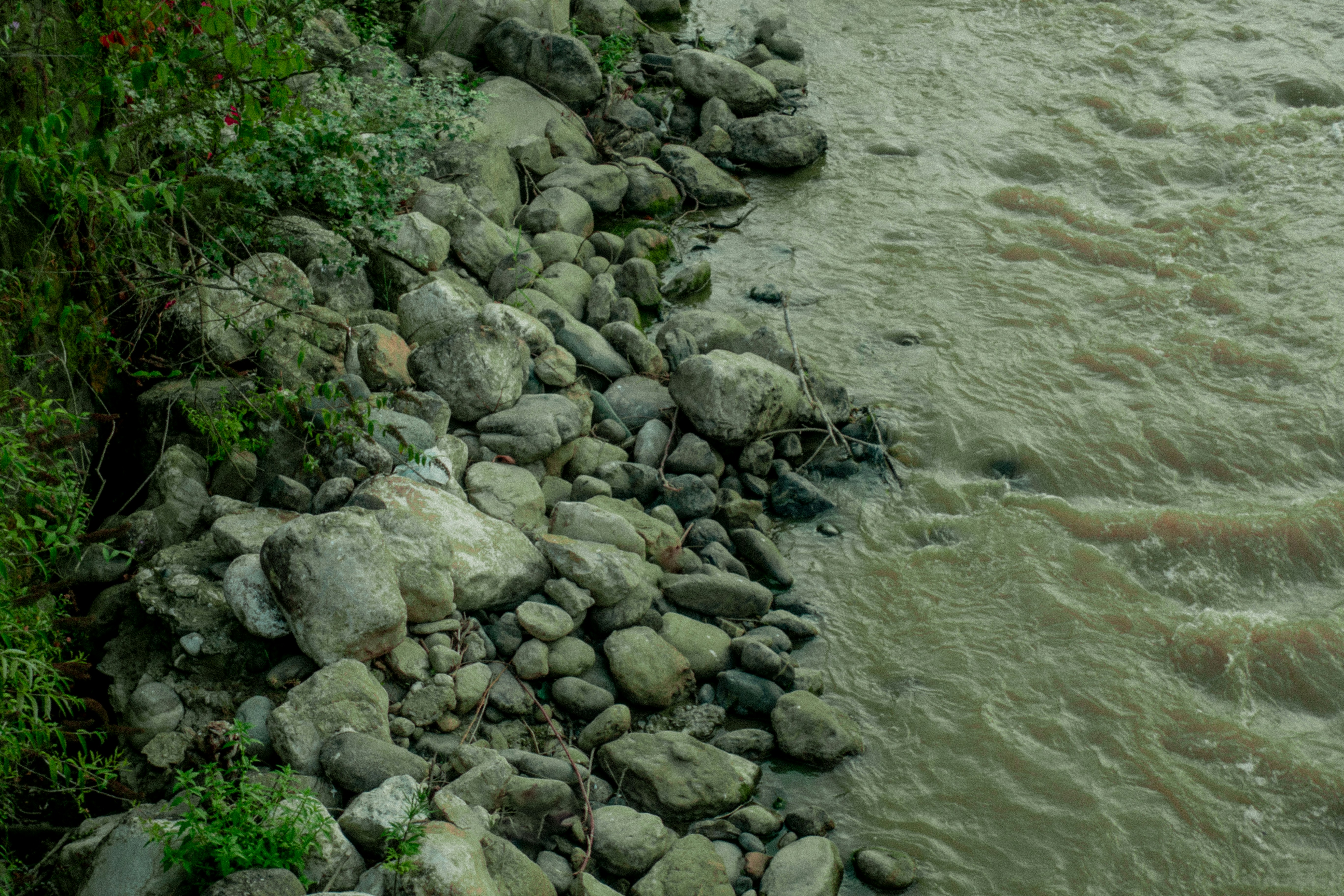 Rocks and water meet on the edge of a river.