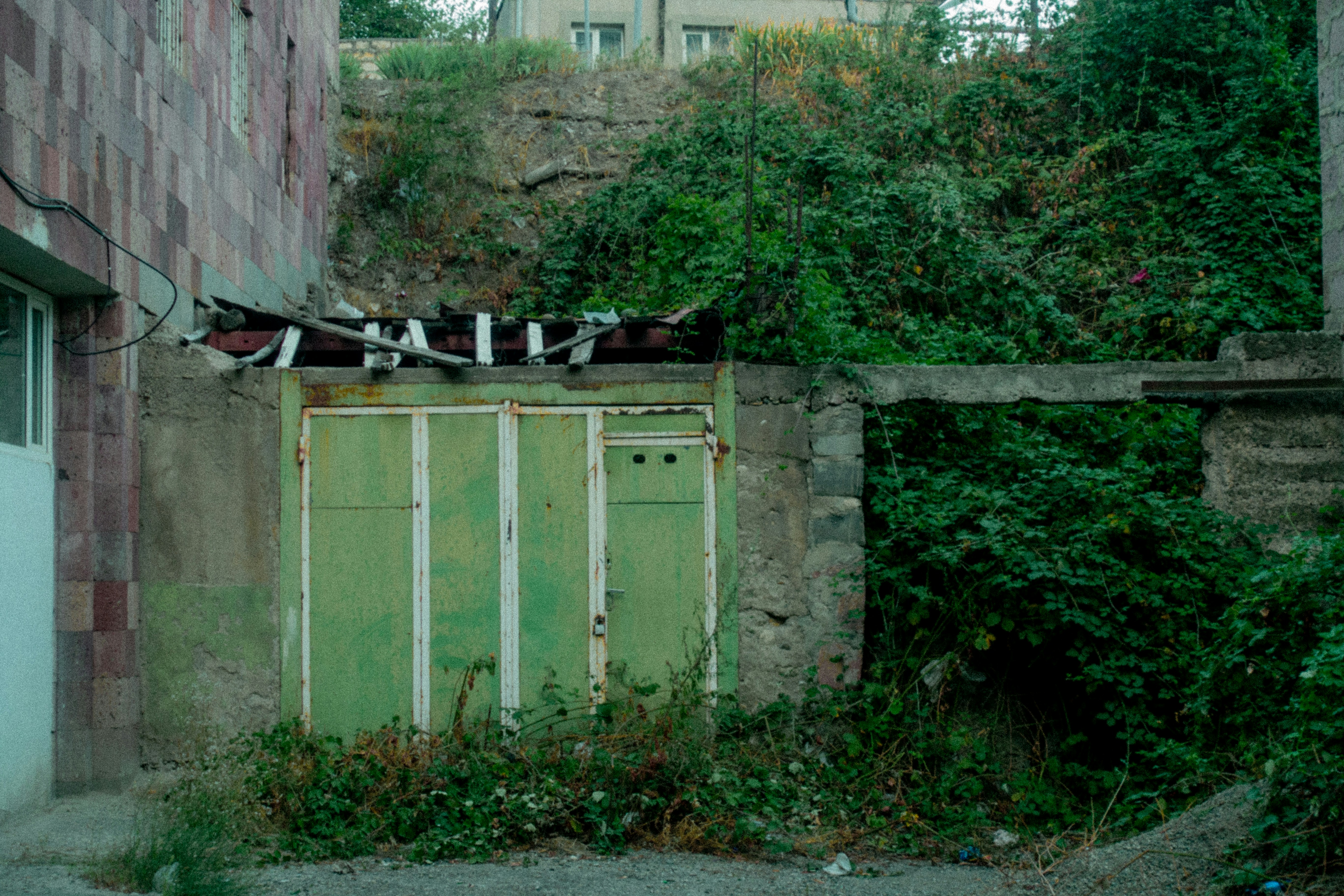 An overgrown garage against a hillside.