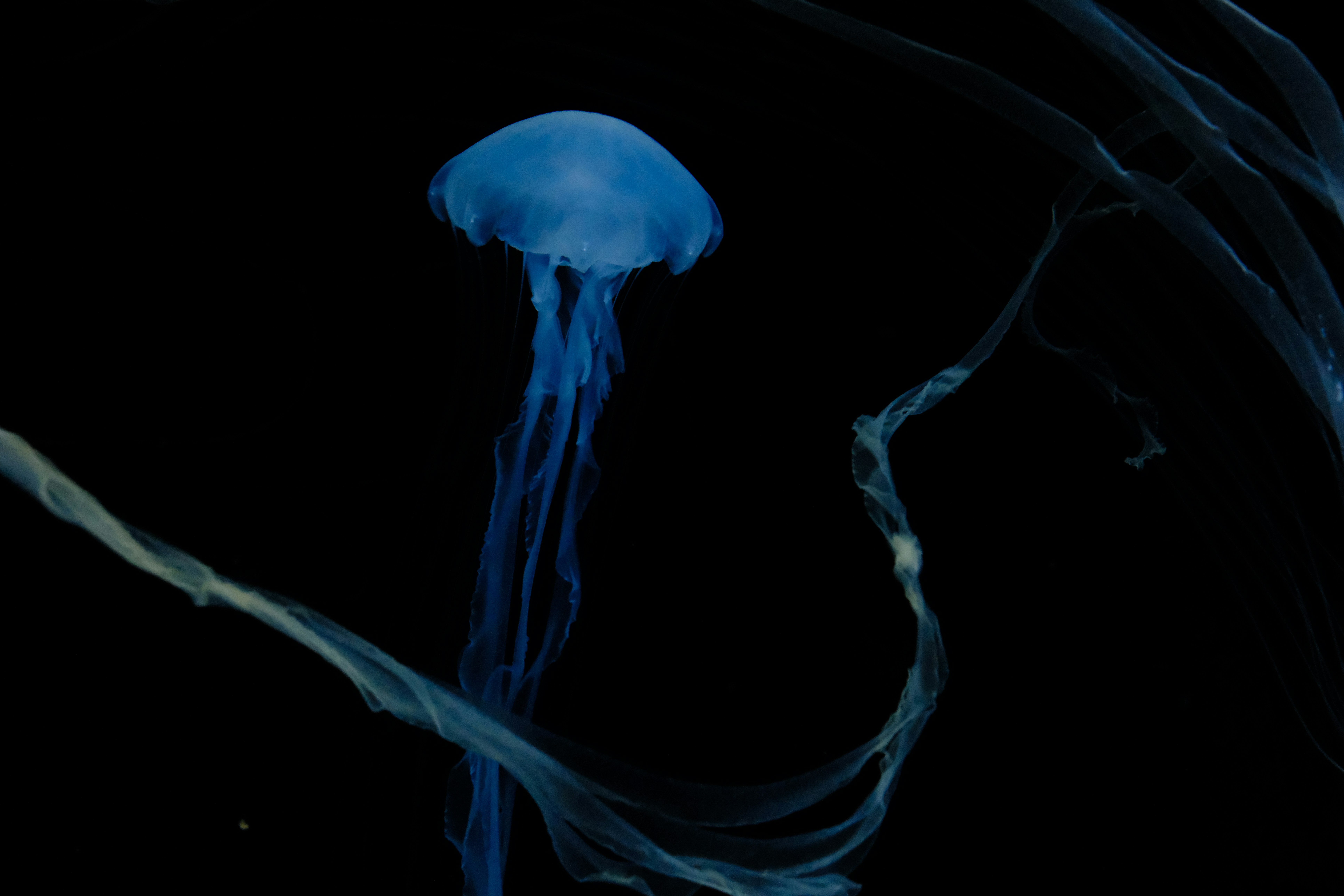 Photo by picturemeslut