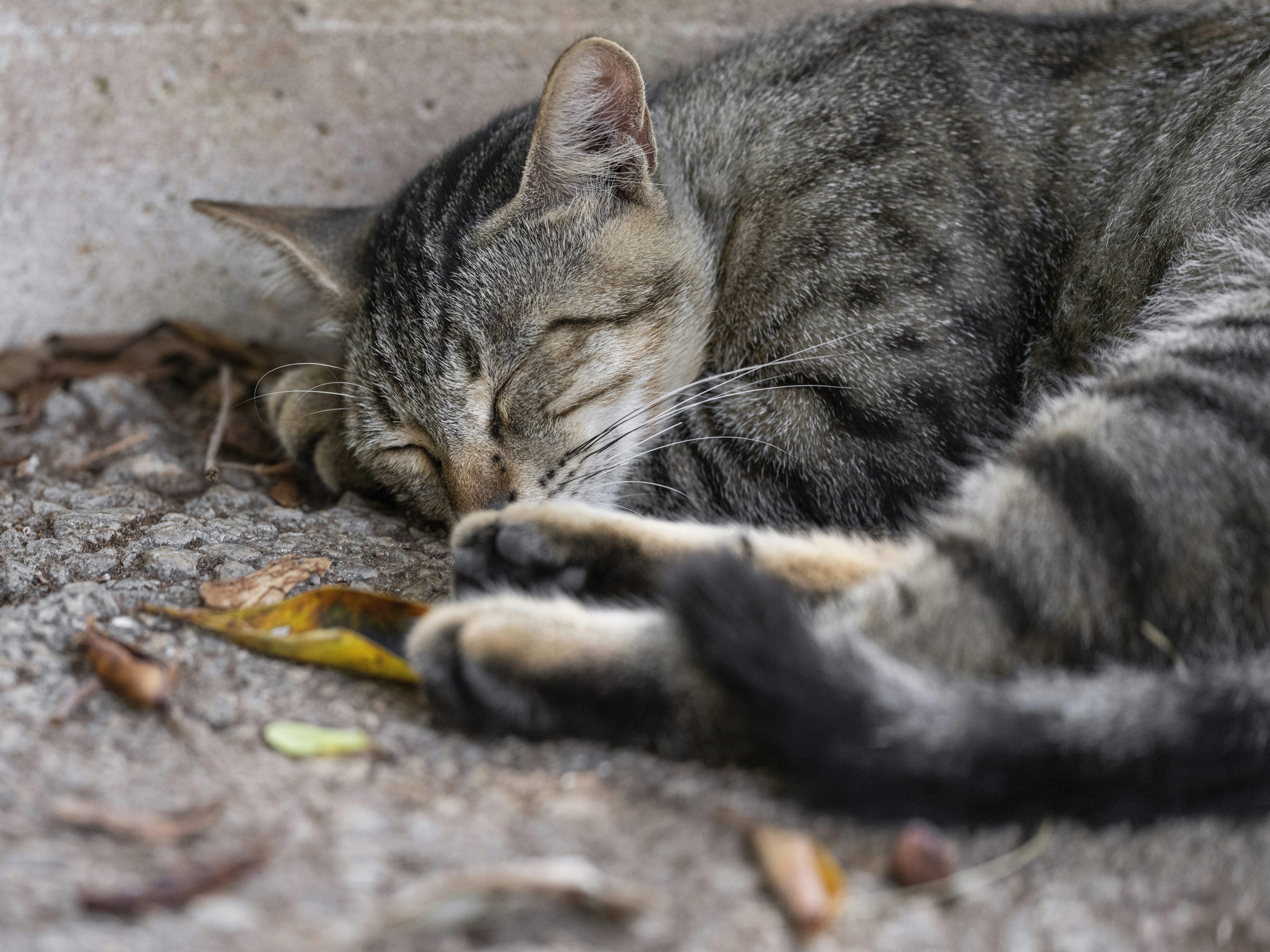 Photo by enginakyurt