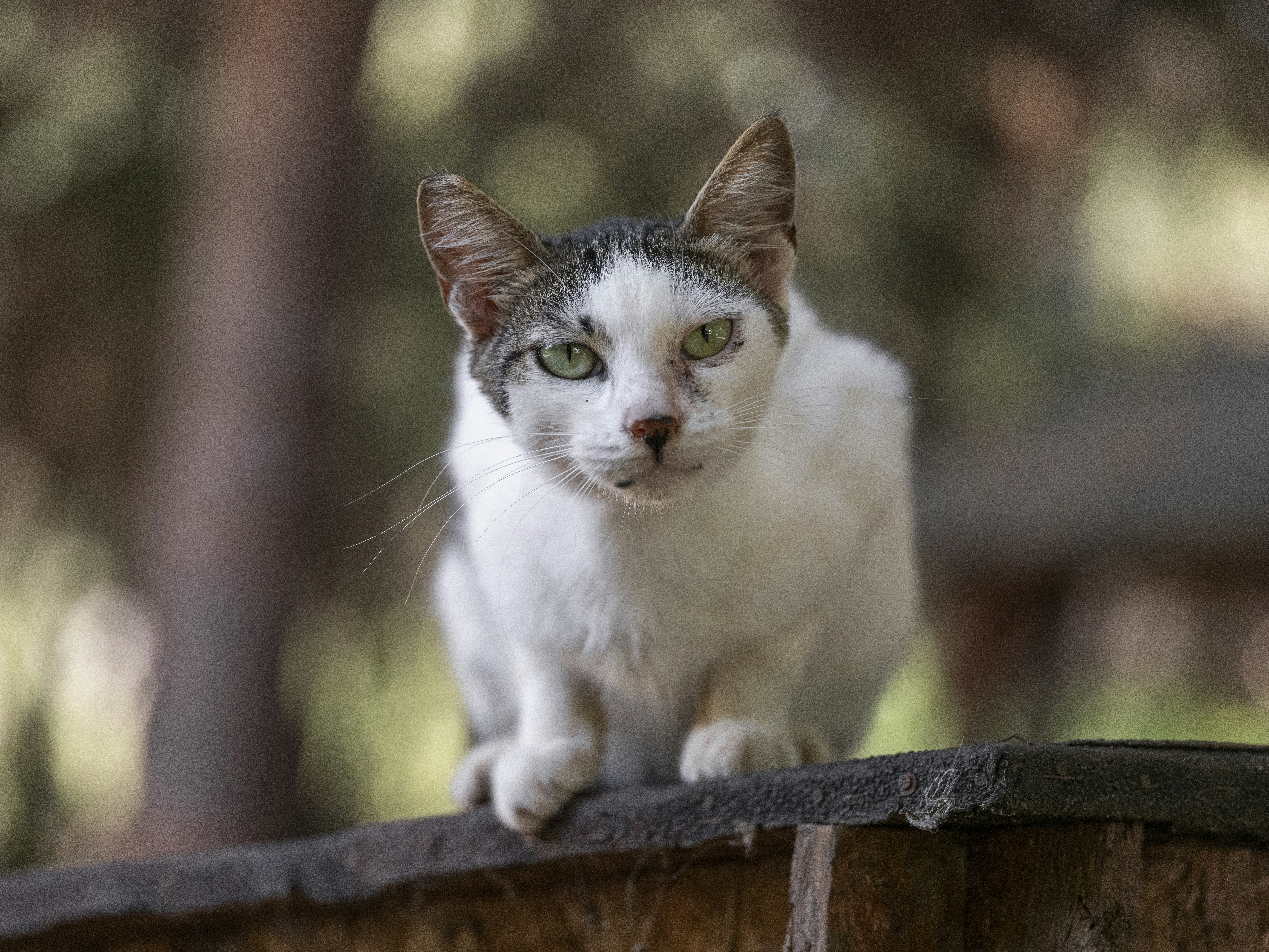 Photo by enginakyurt