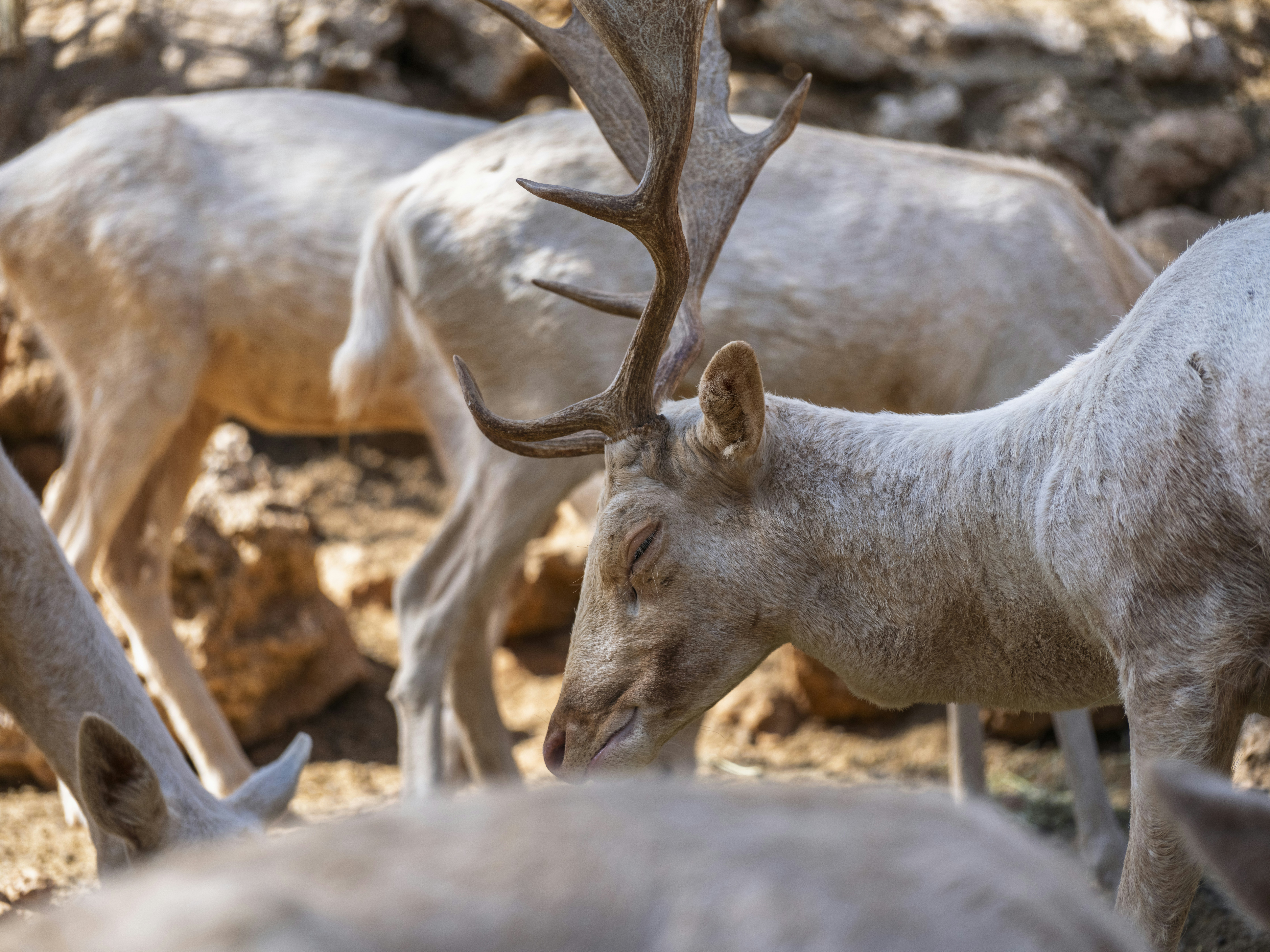 Photo by enginakyurt