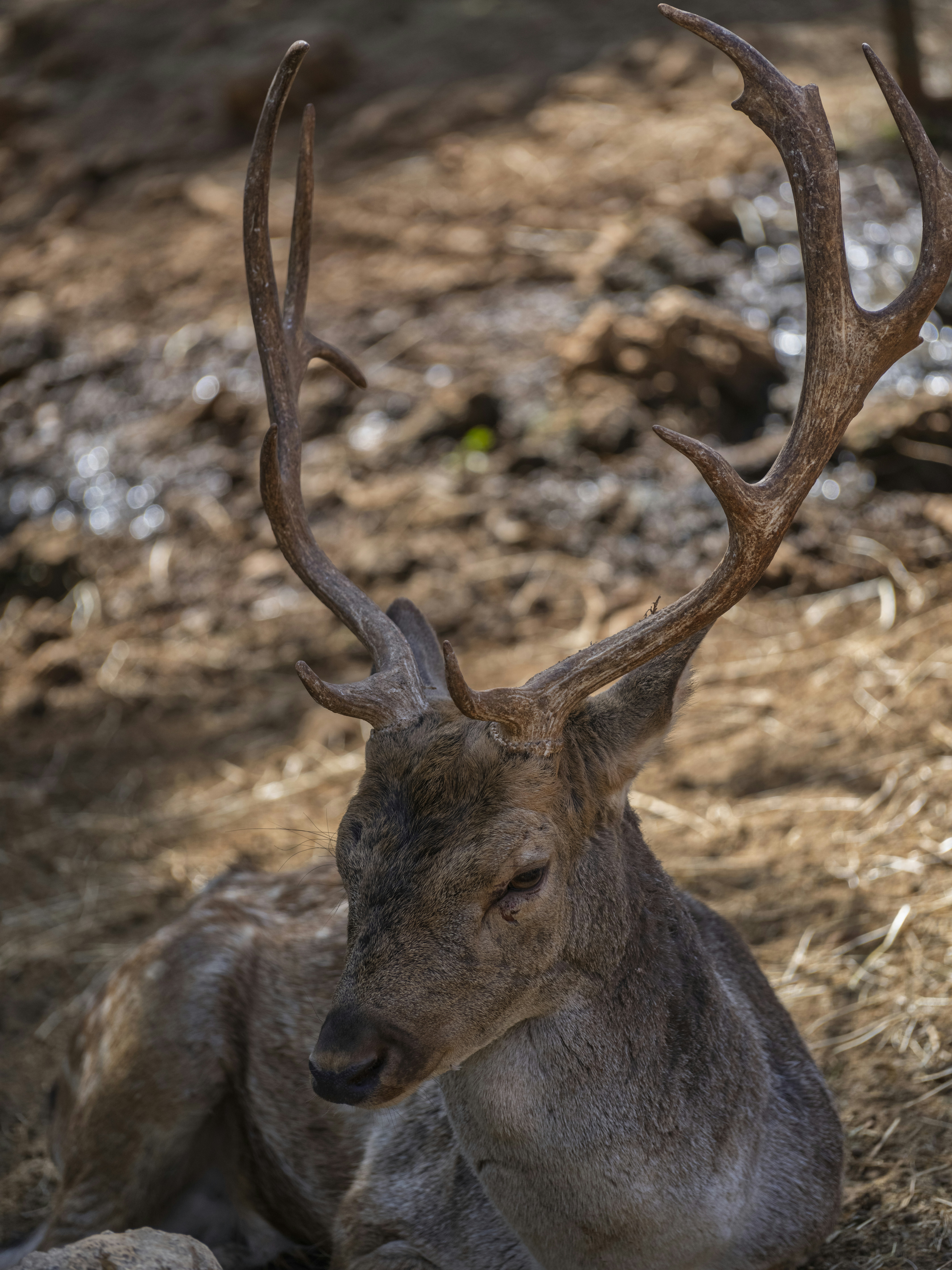 Photo by enginakyurt