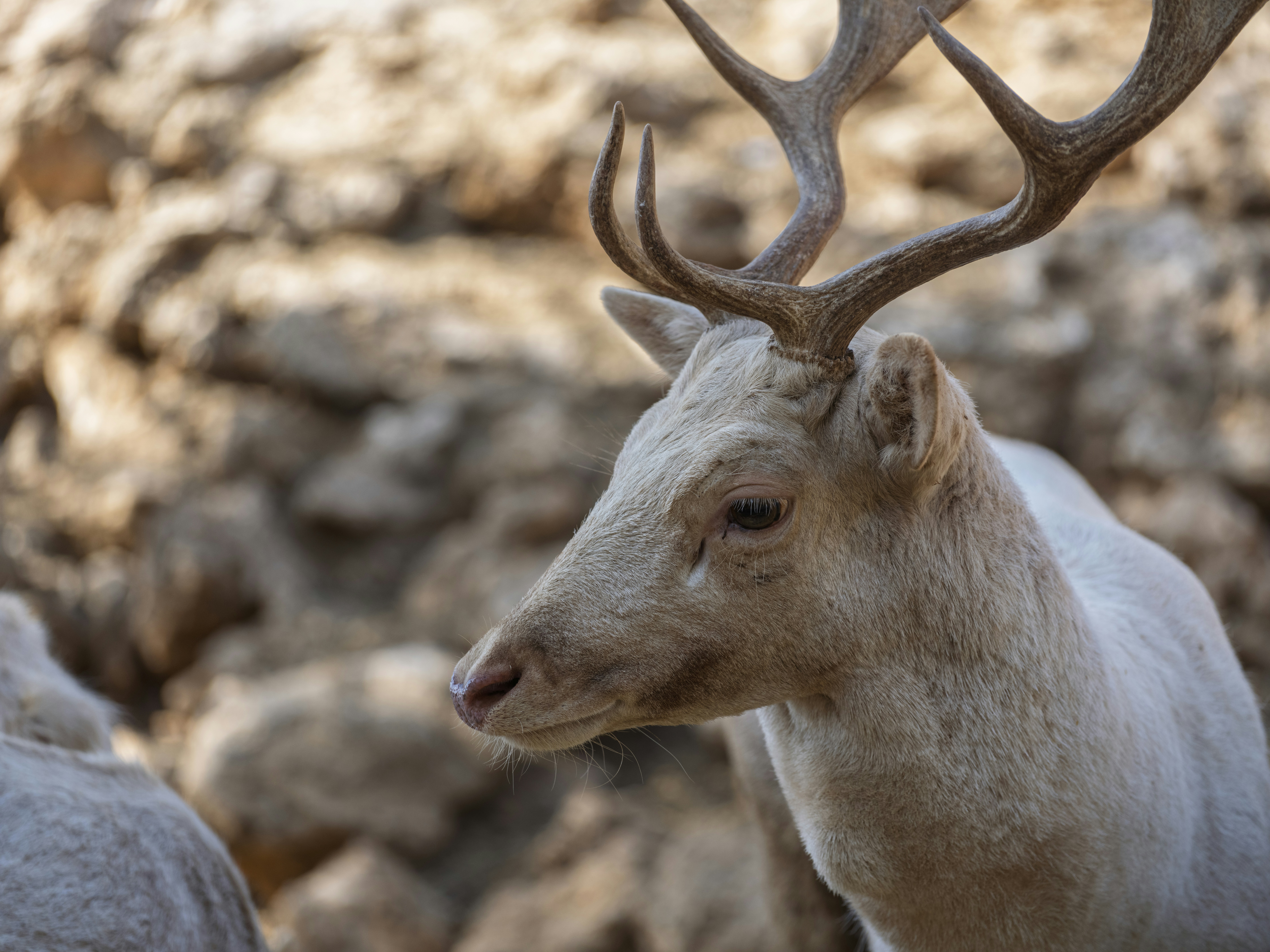 Photo by enginakyurt