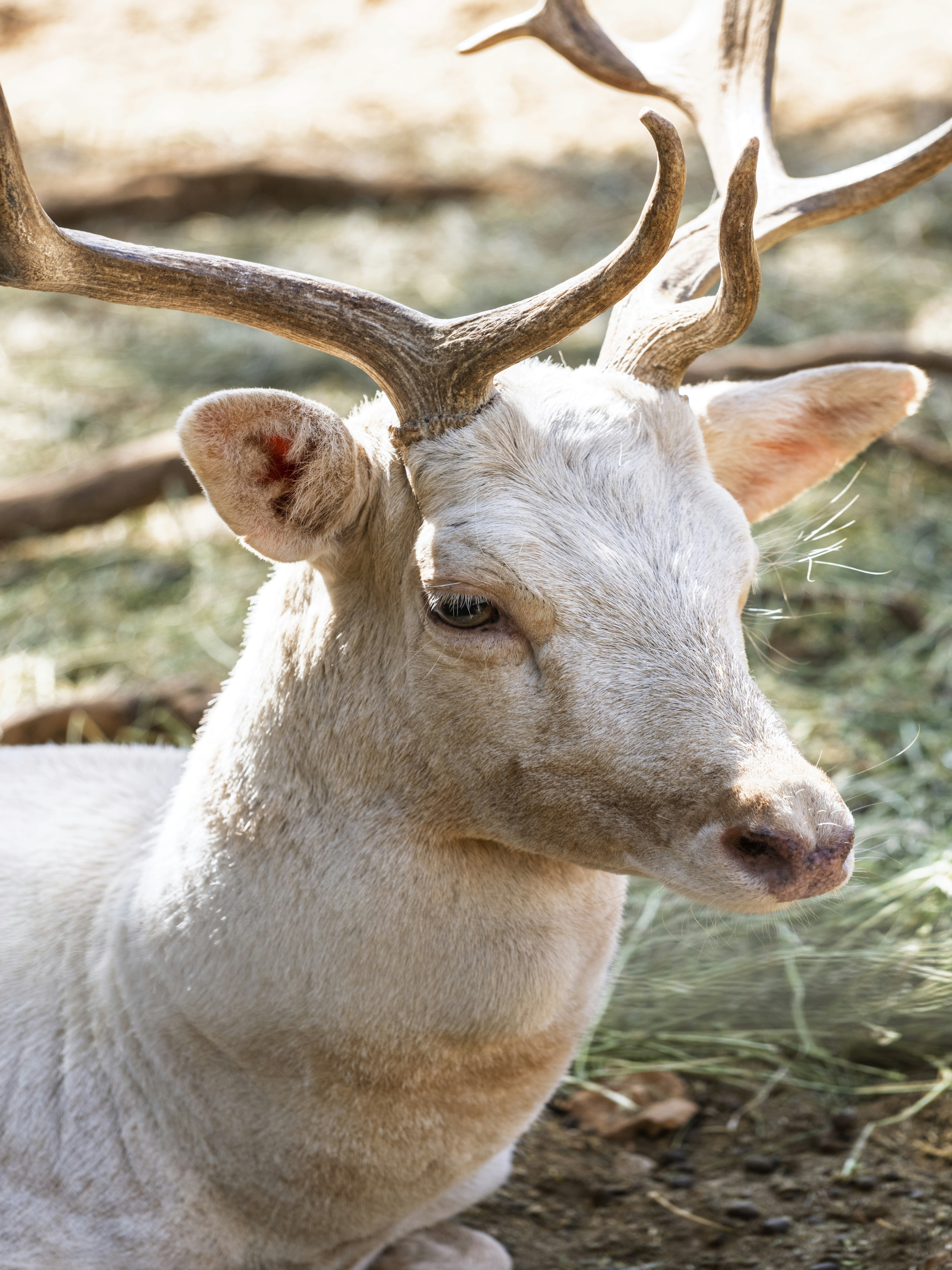 Photo by enginakyurt