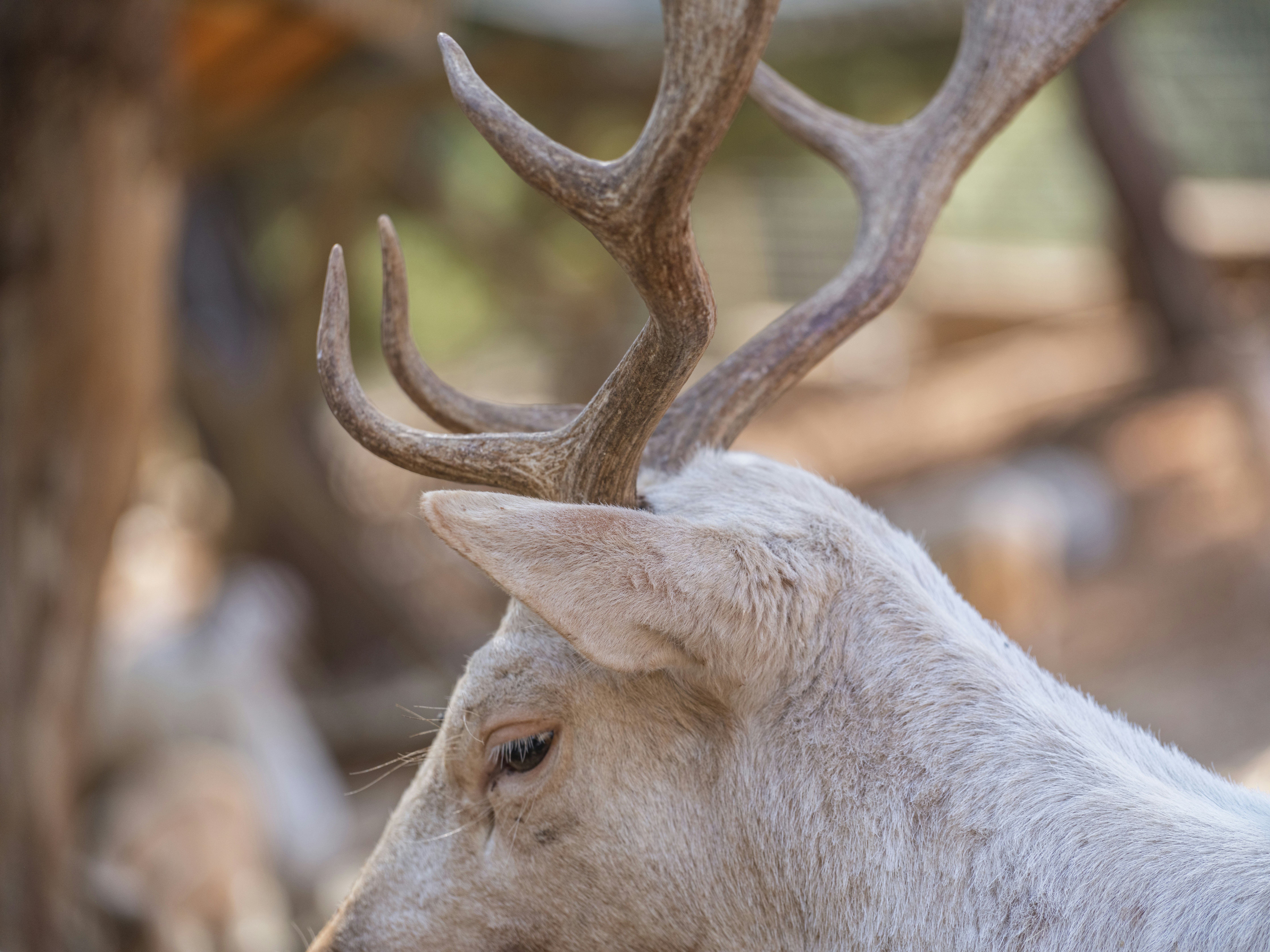 Photo by enginakyurt