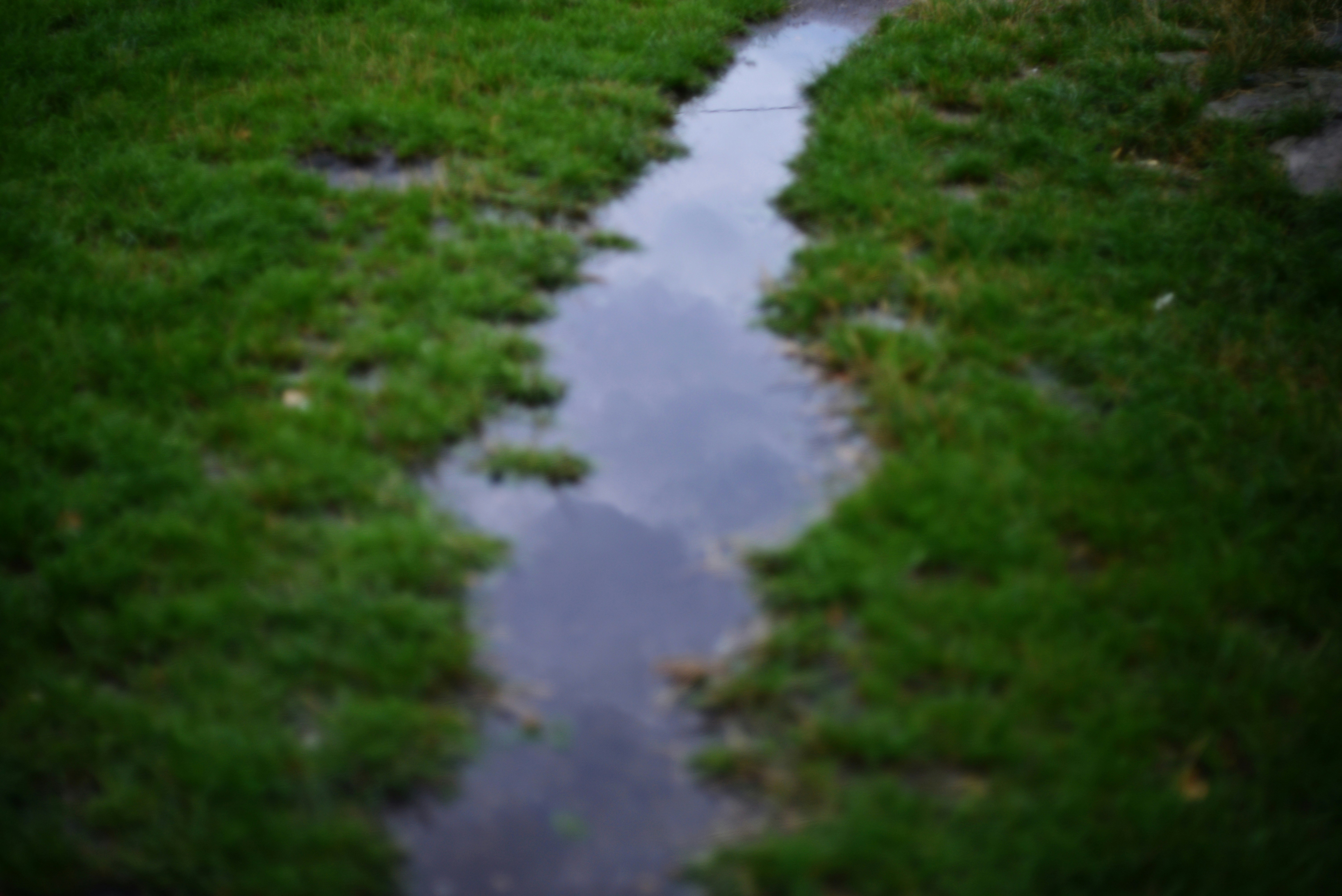 Photo by cherstve_pechivo