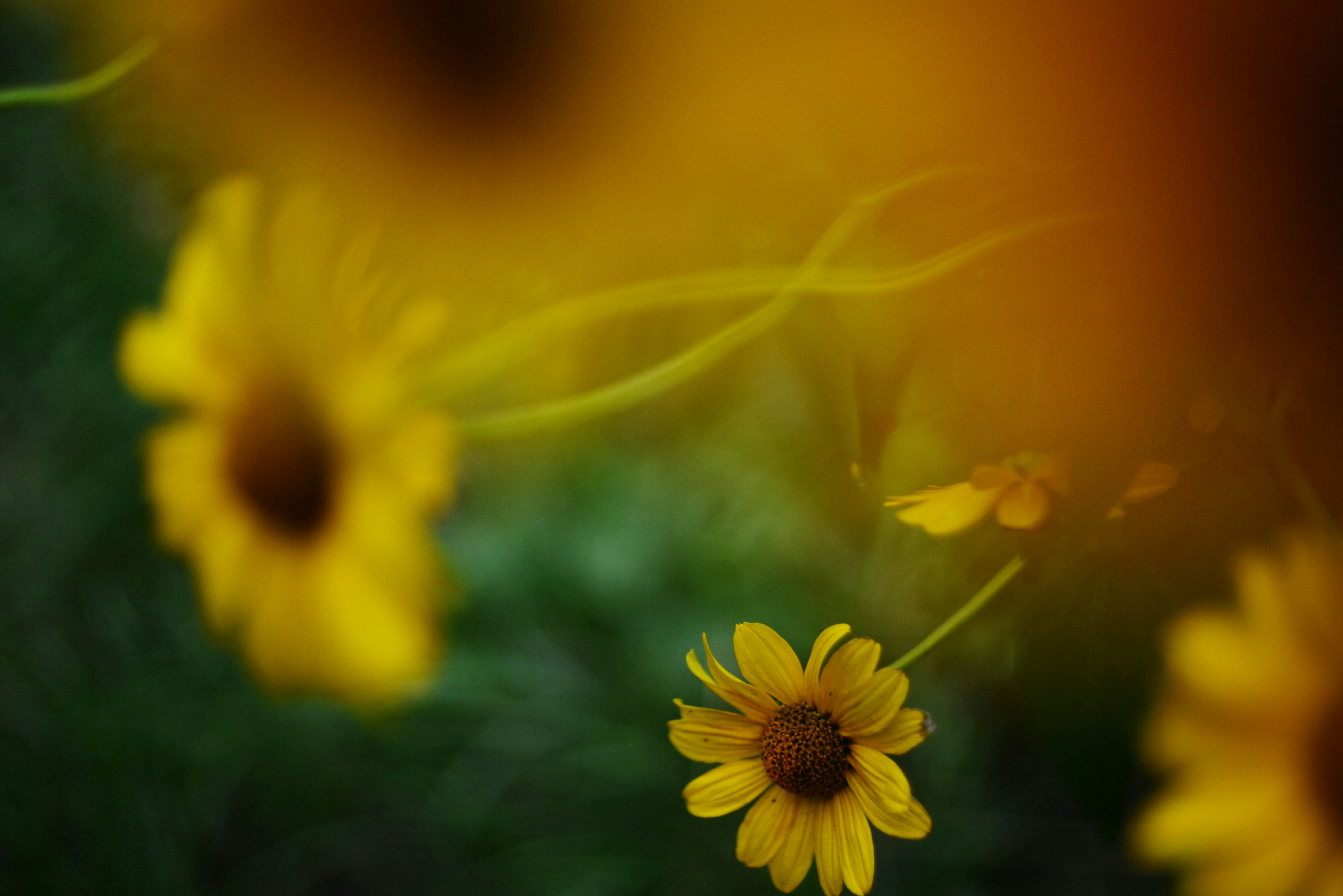 Photo by cherstve_pechivo