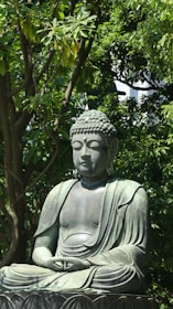 A serene buddha statue sits peacefully amidst lush greenery.