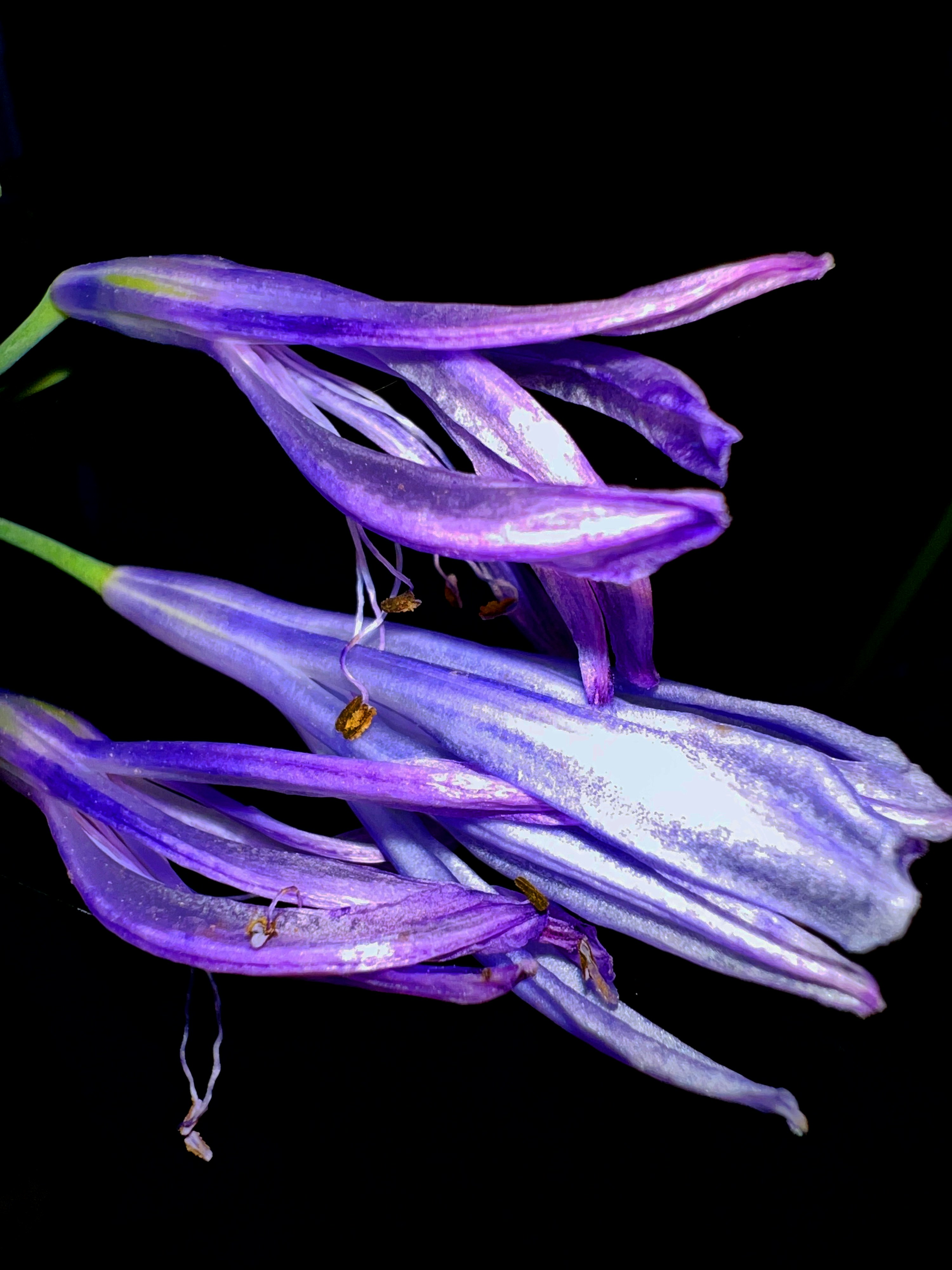 Photo by shaimaaasami