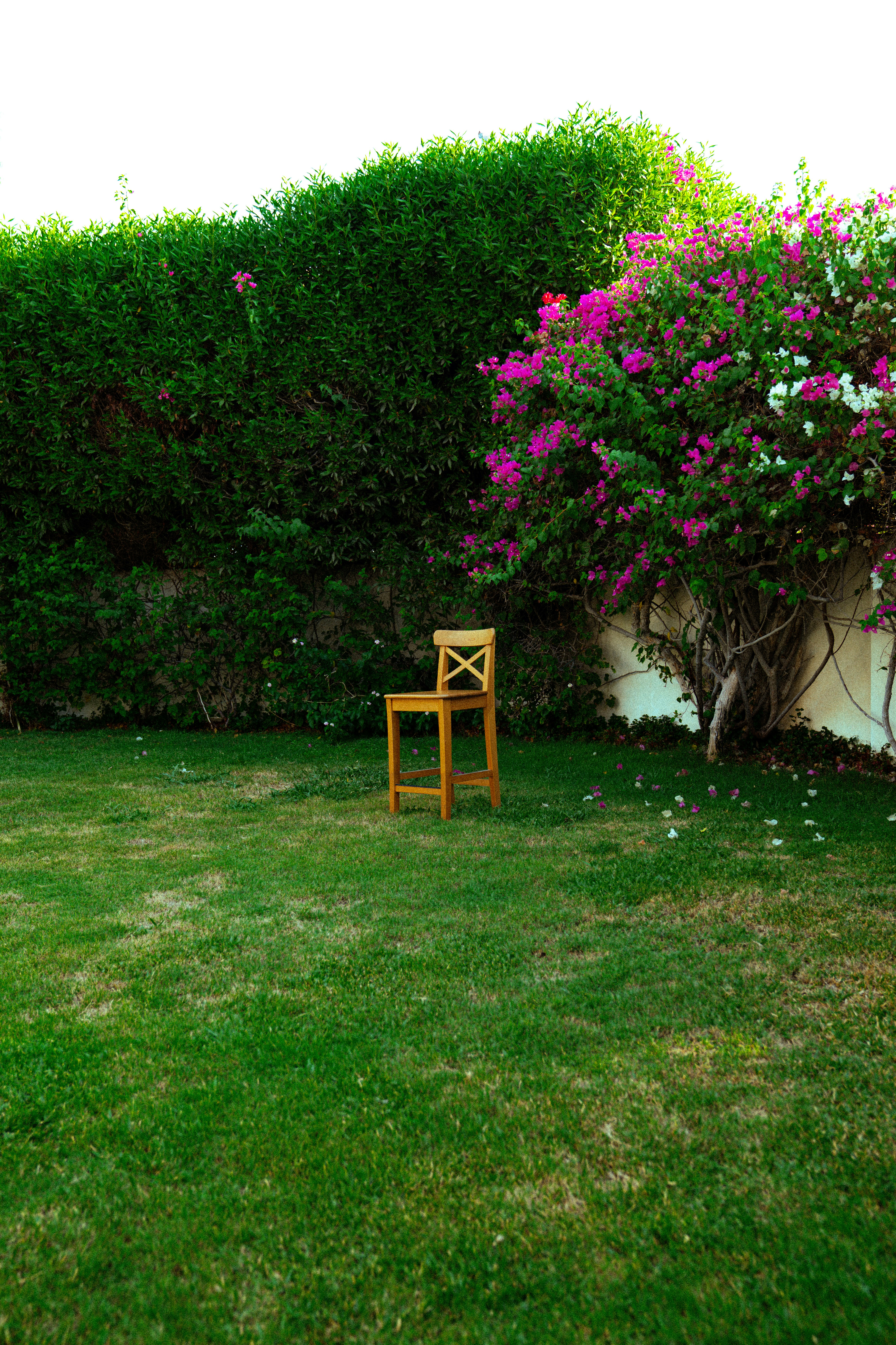 Artificial grass lawn for a clean low maintenance outdoor area
