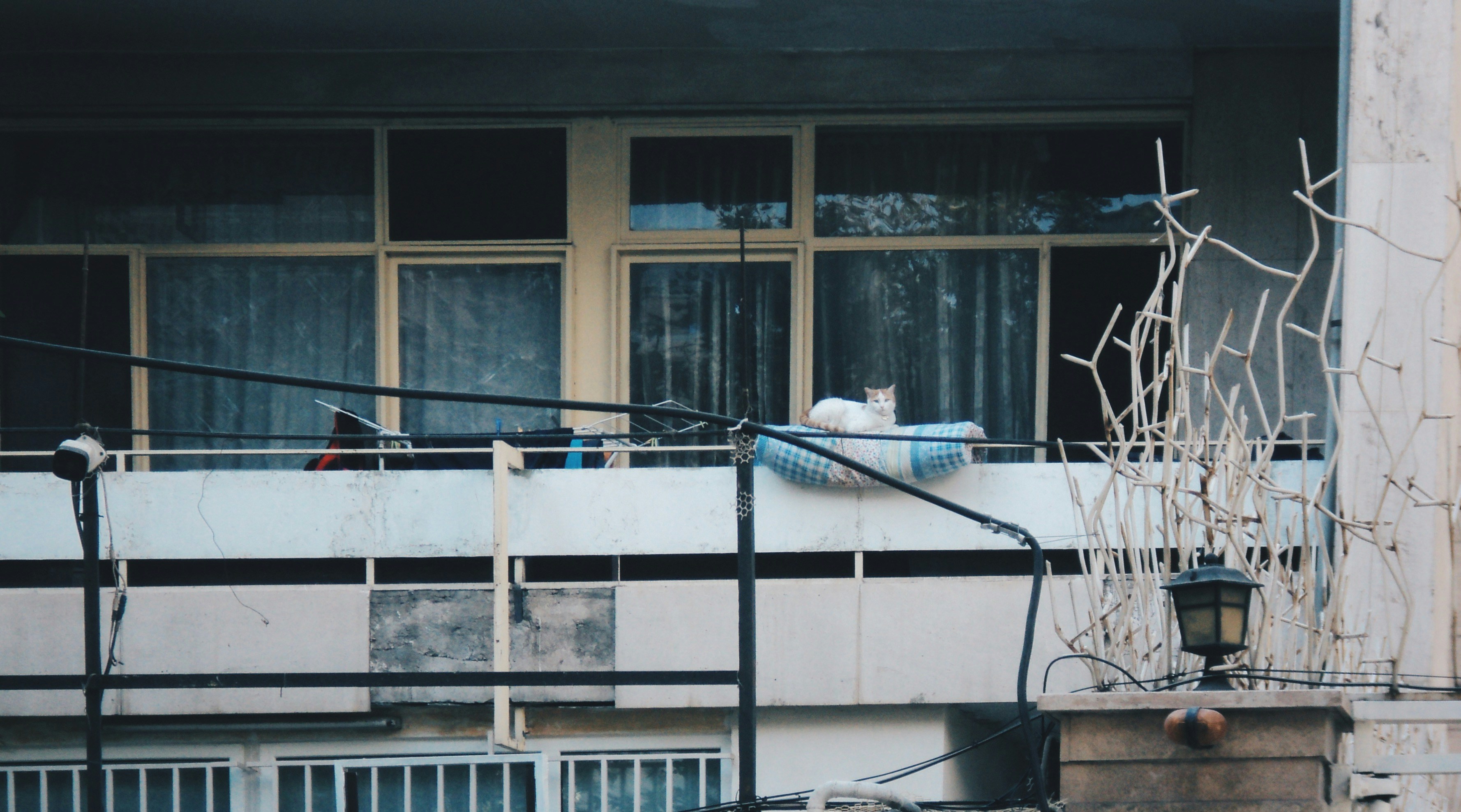 Photo by mdrezajalali