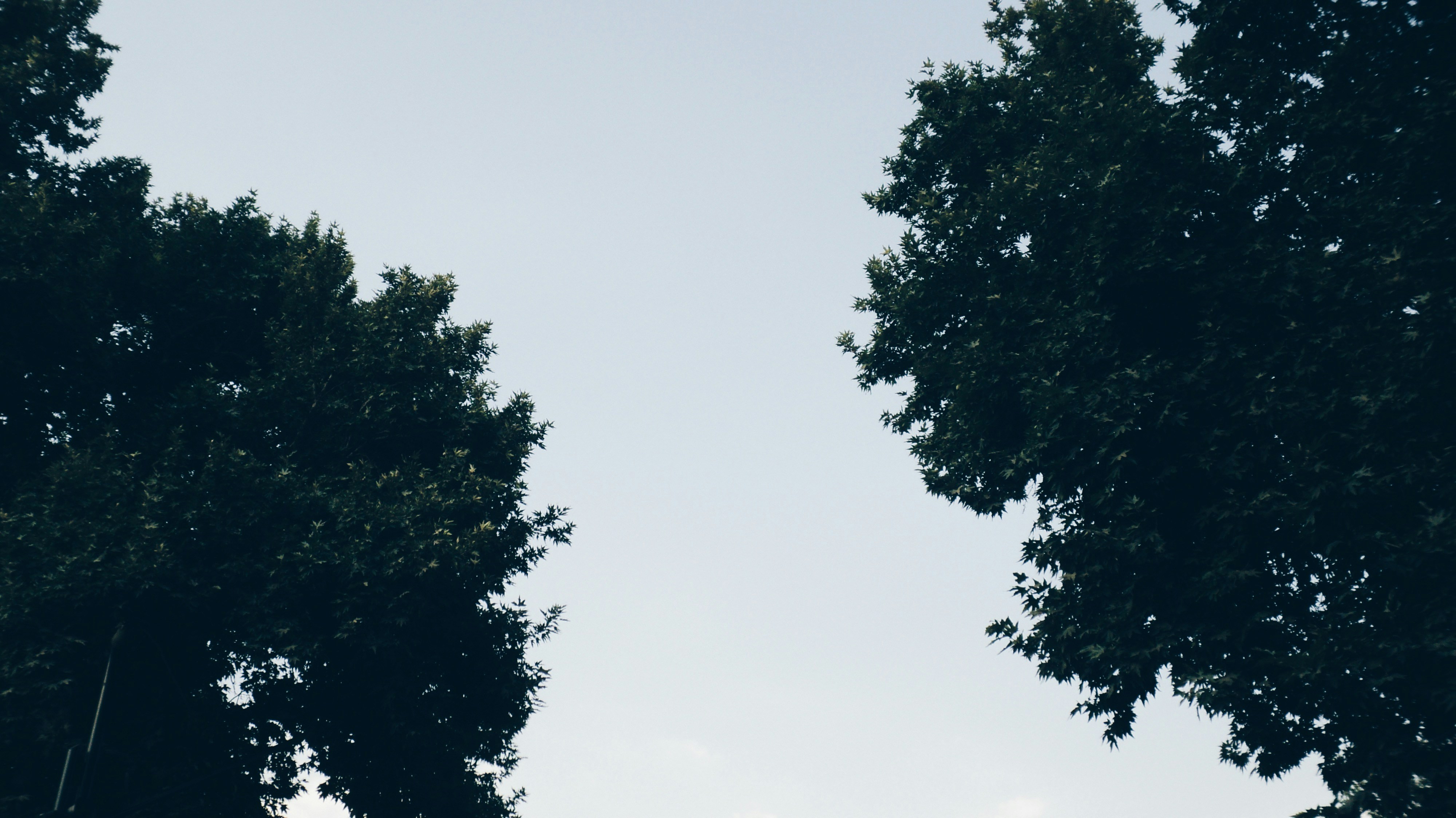 Look up. Breathe out.