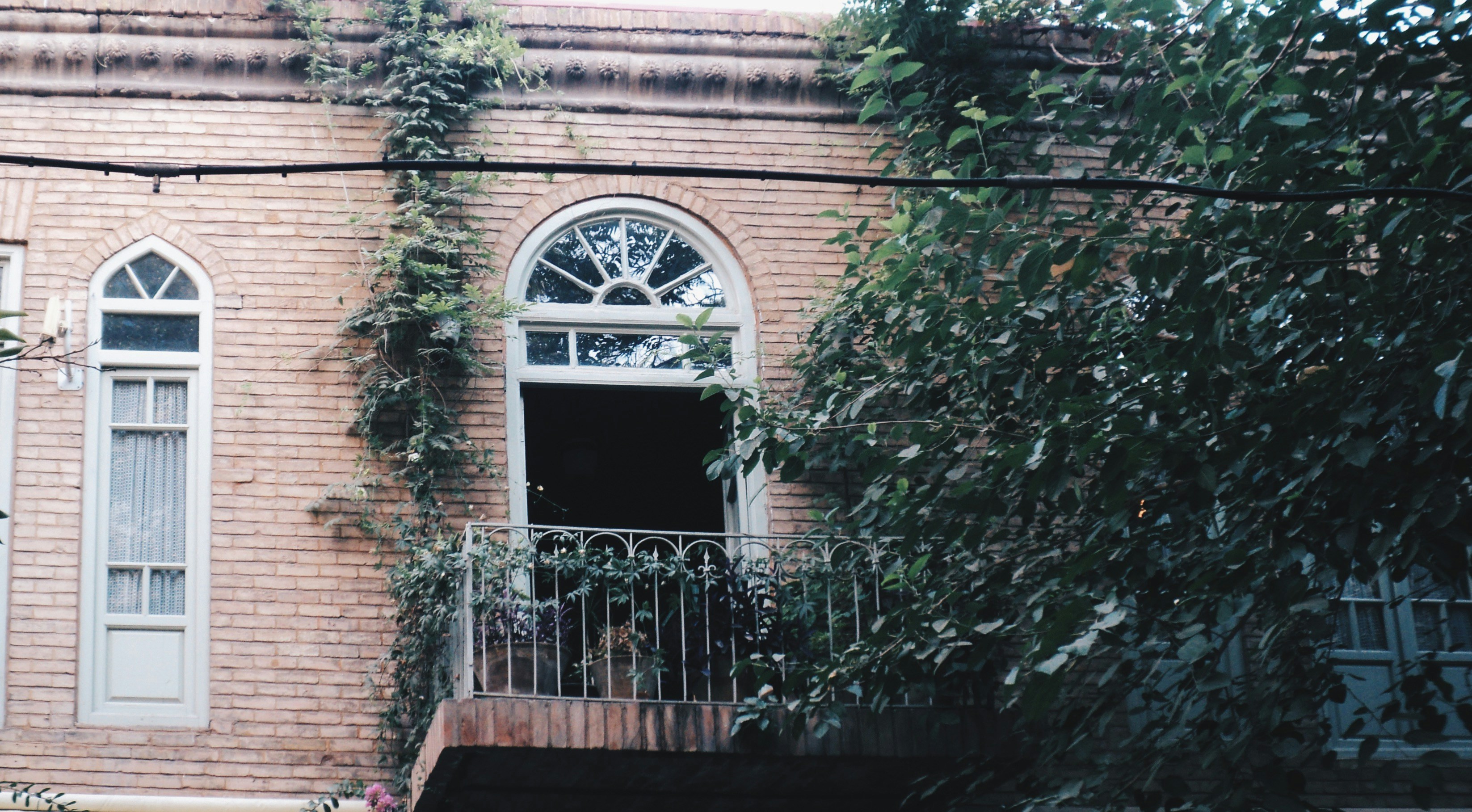 Photo by mdrezajalali