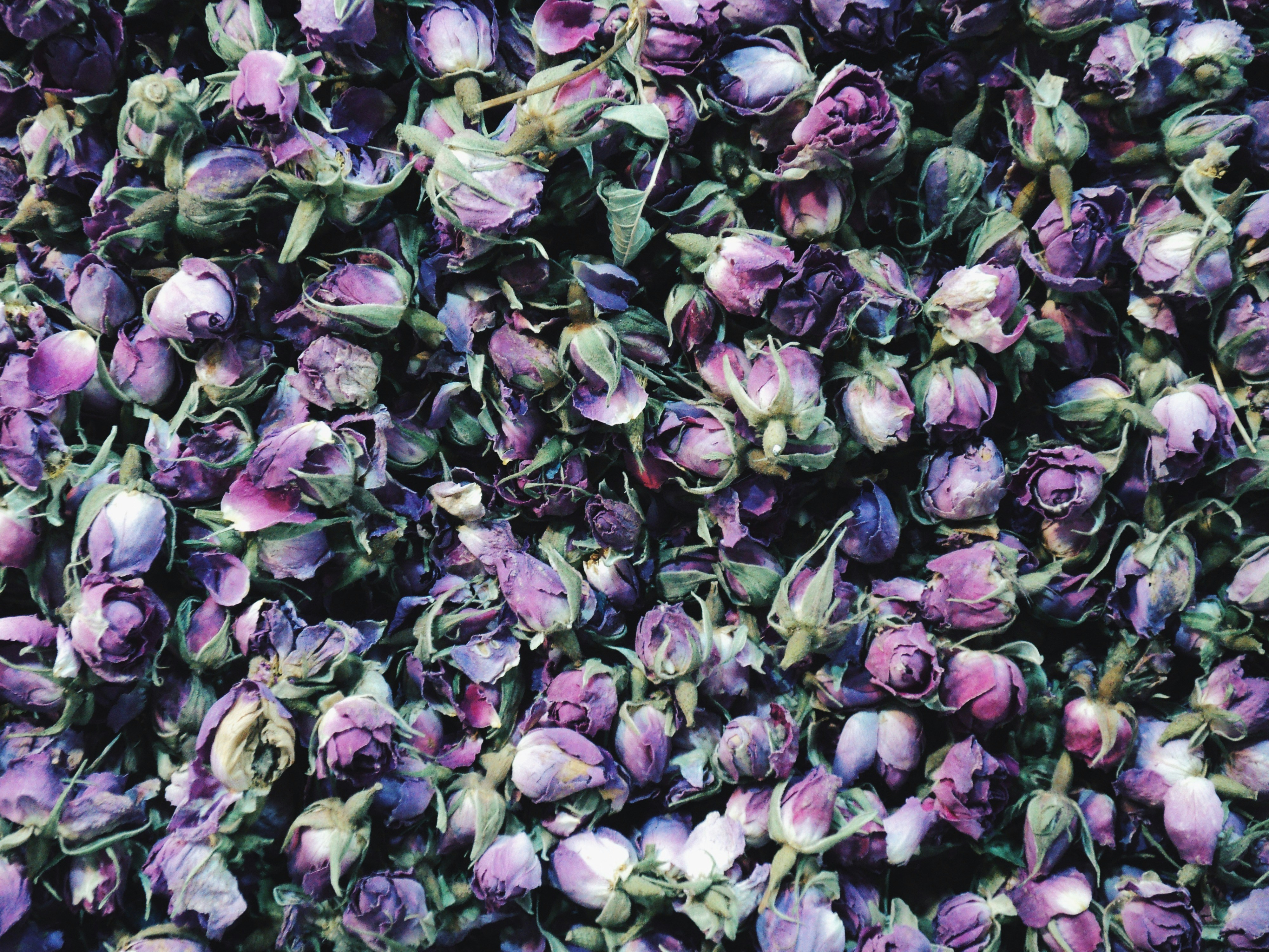 Photo by mdrezajalali