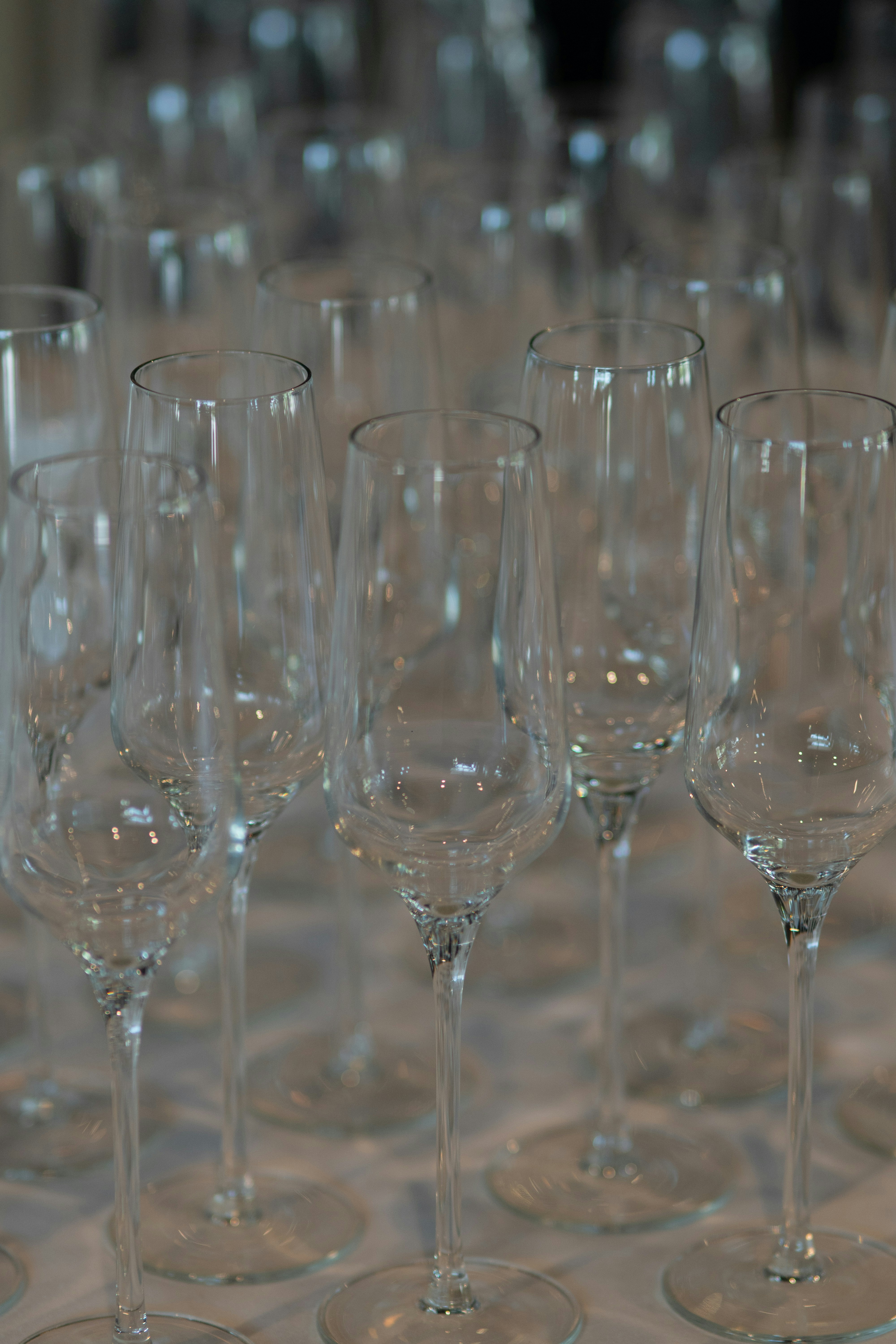 Photo by taylor_friehl