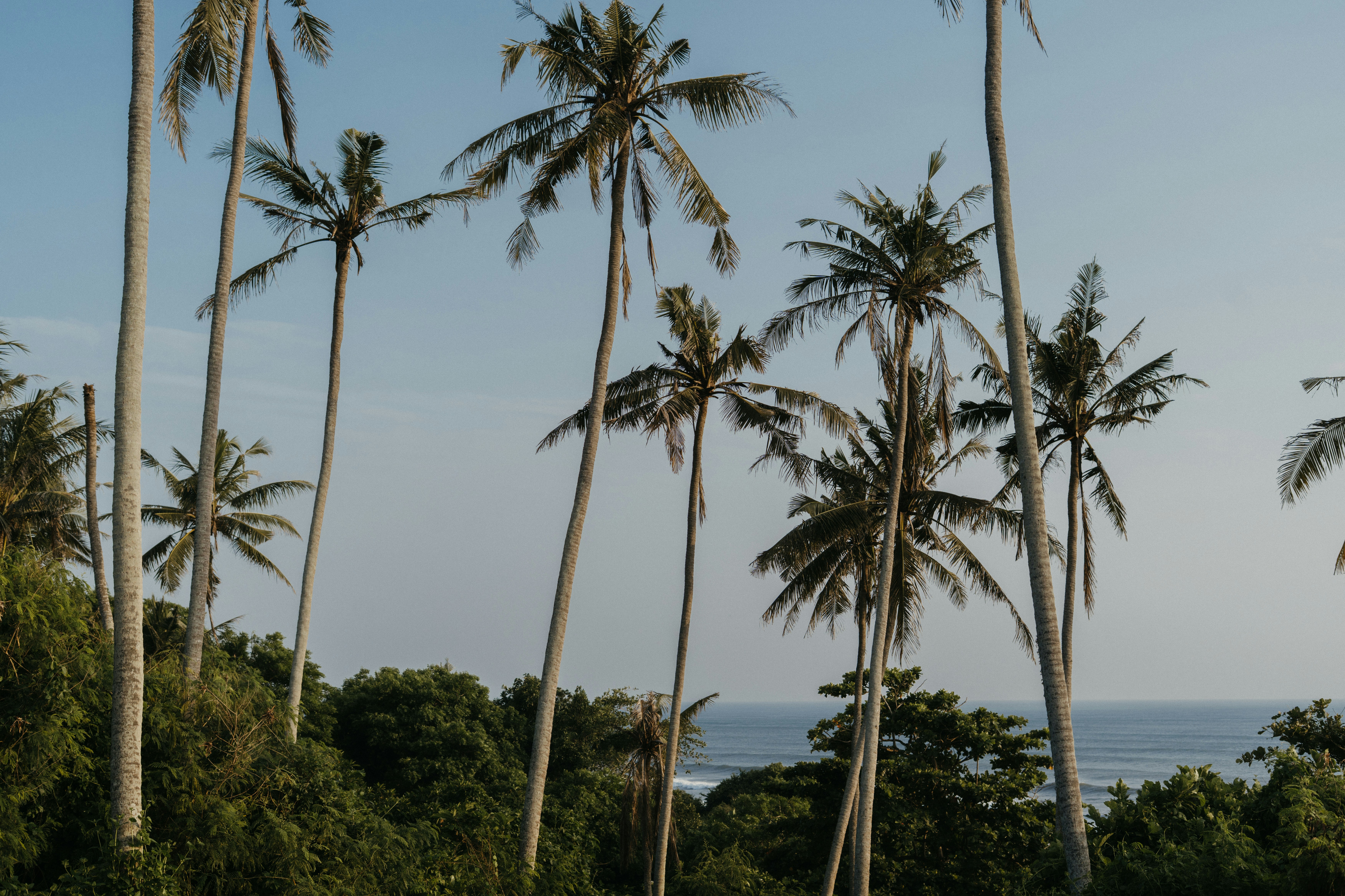 Photo by p_kuzovkova