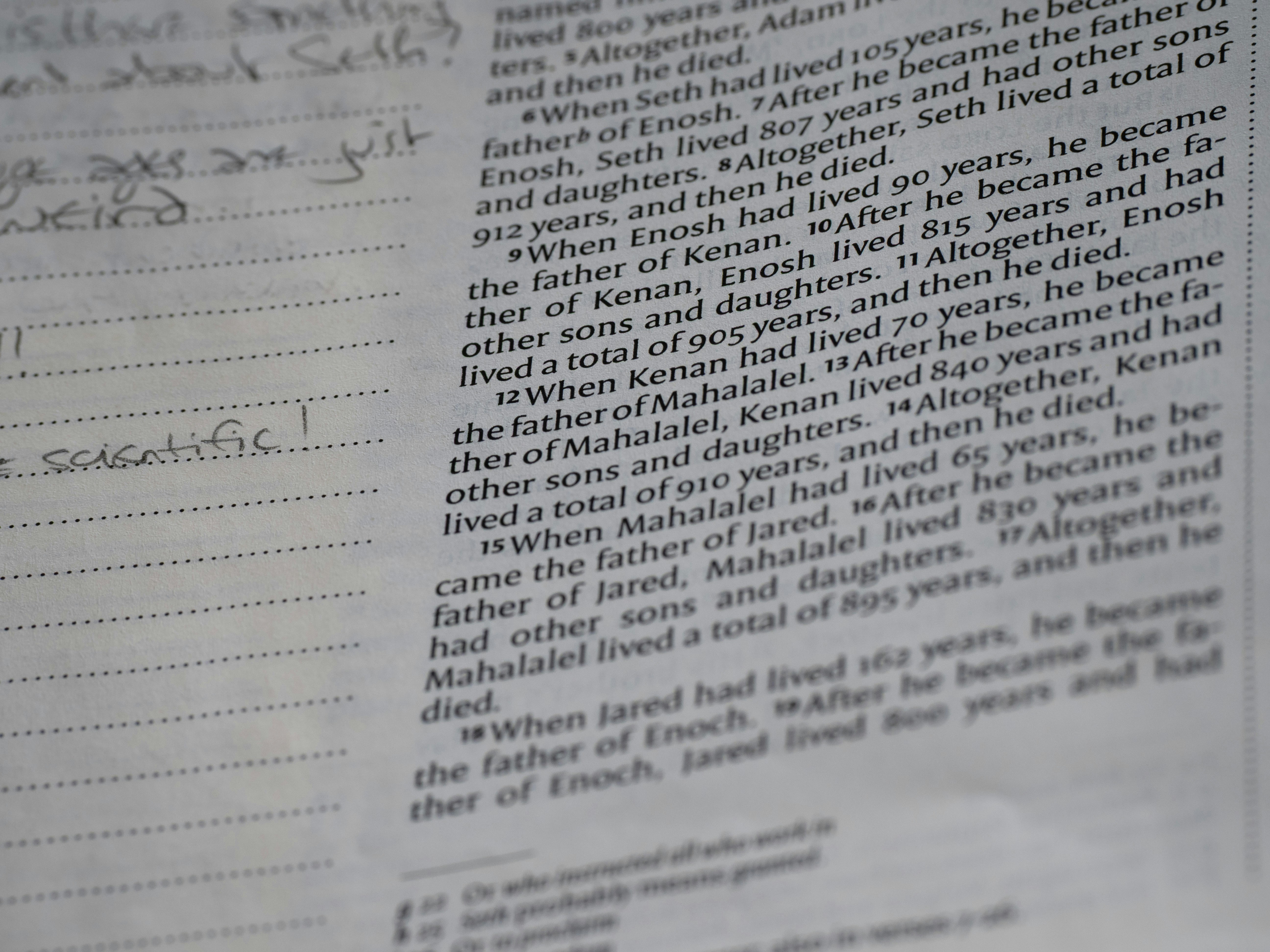 성인 아토피 유산균