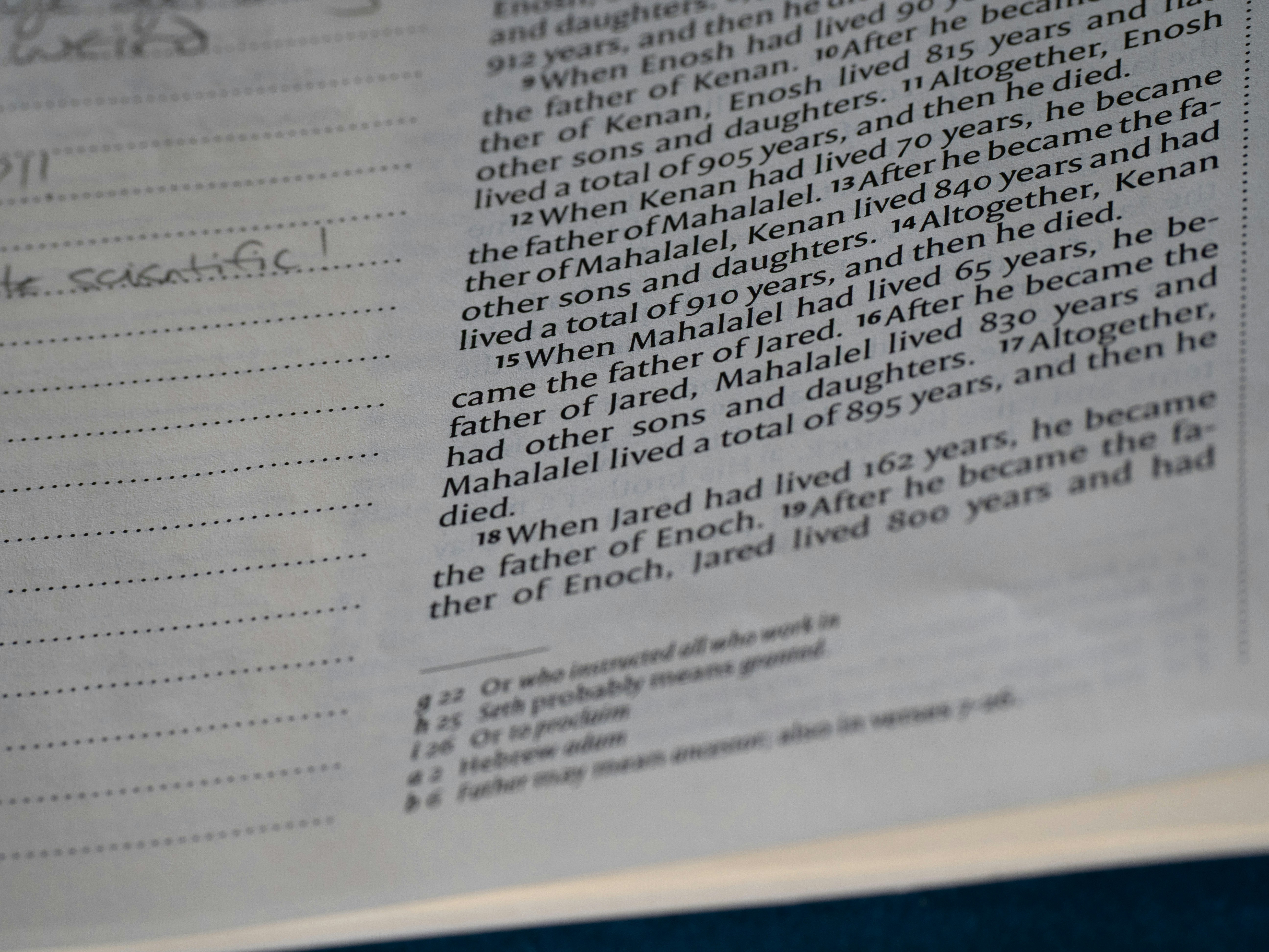 Photo by brett_jordan