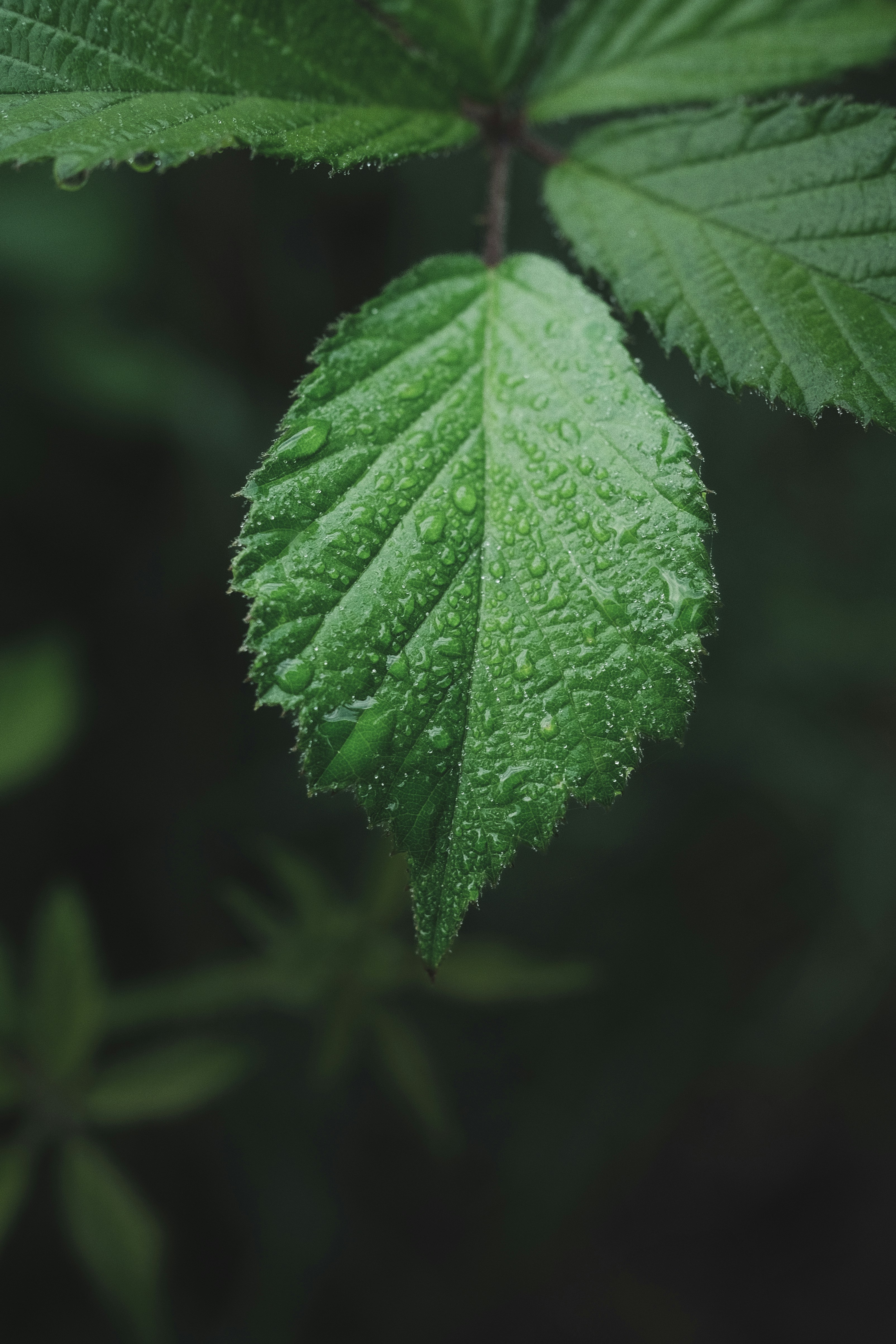 Photo by visualsbying