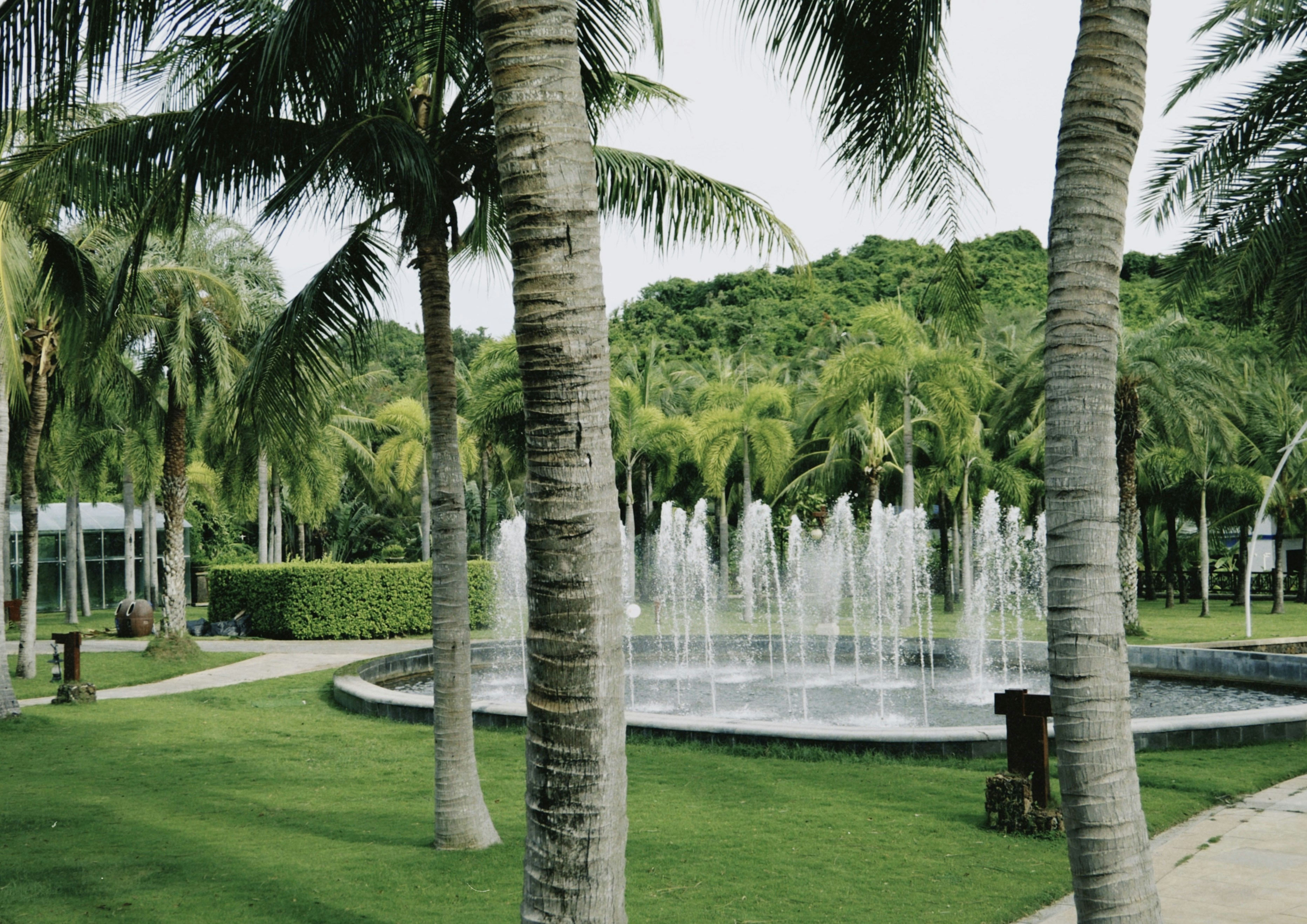 Photo by mianmian1997