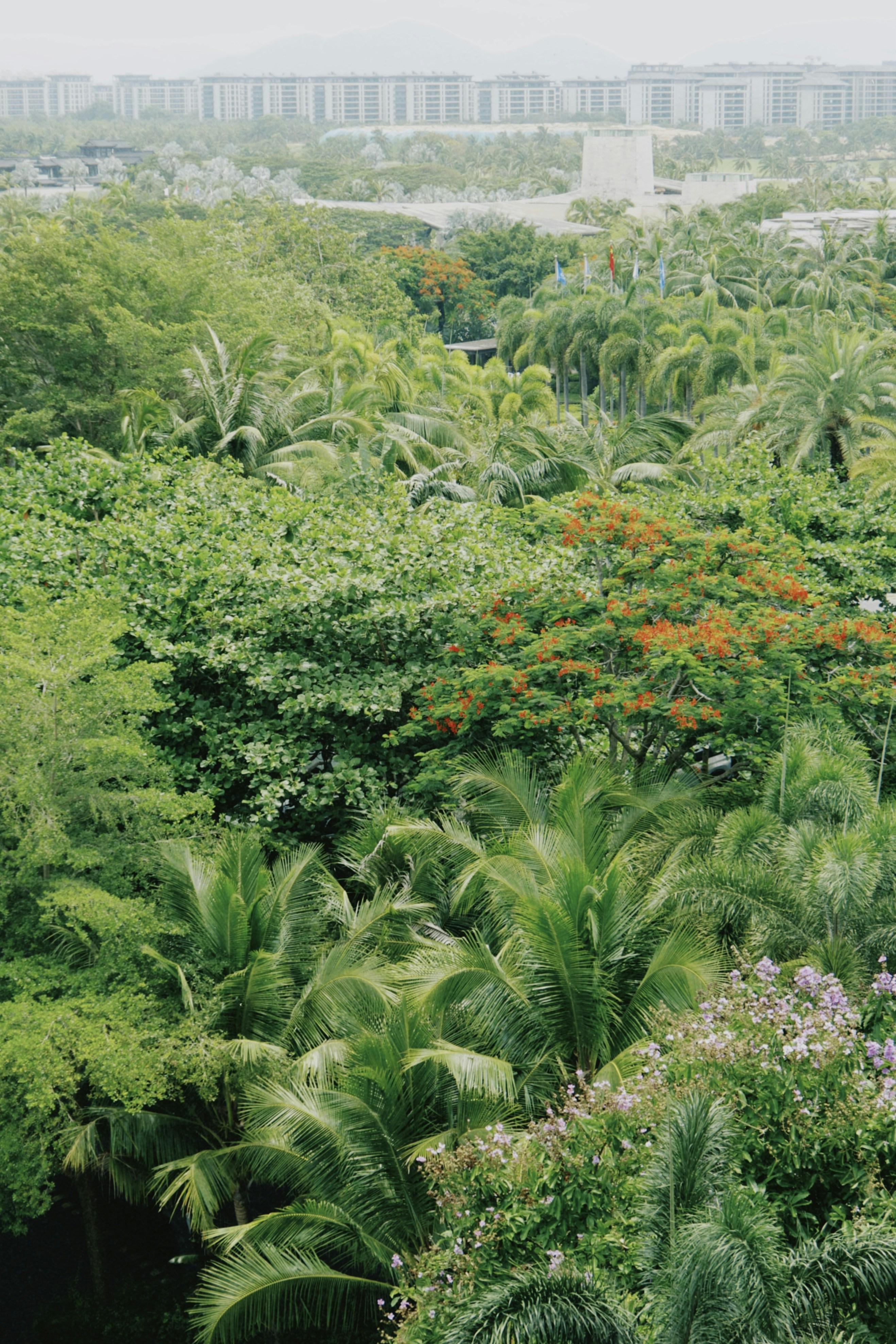 Photo by mianmian1997