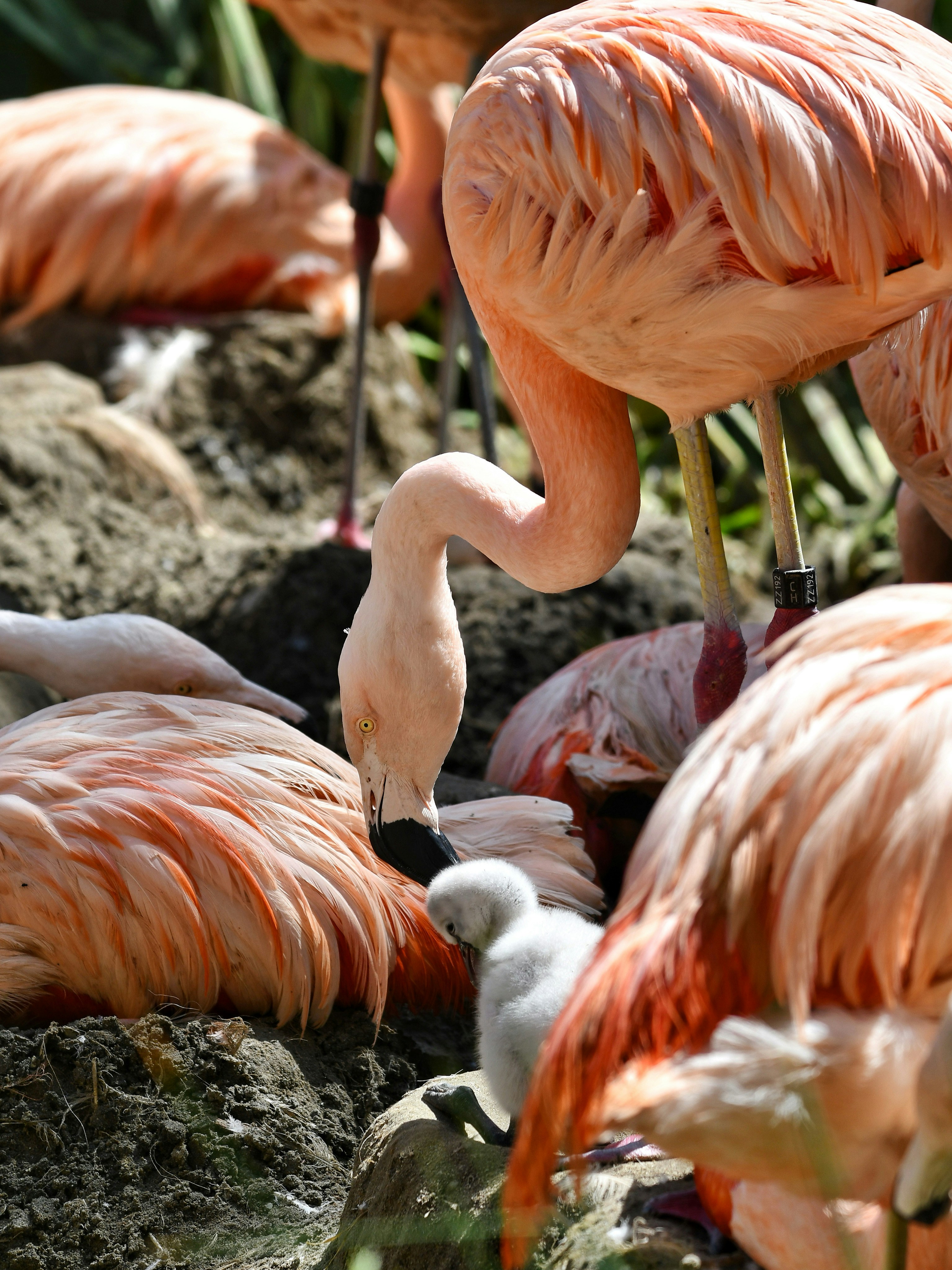 Photo by pedrino5_official