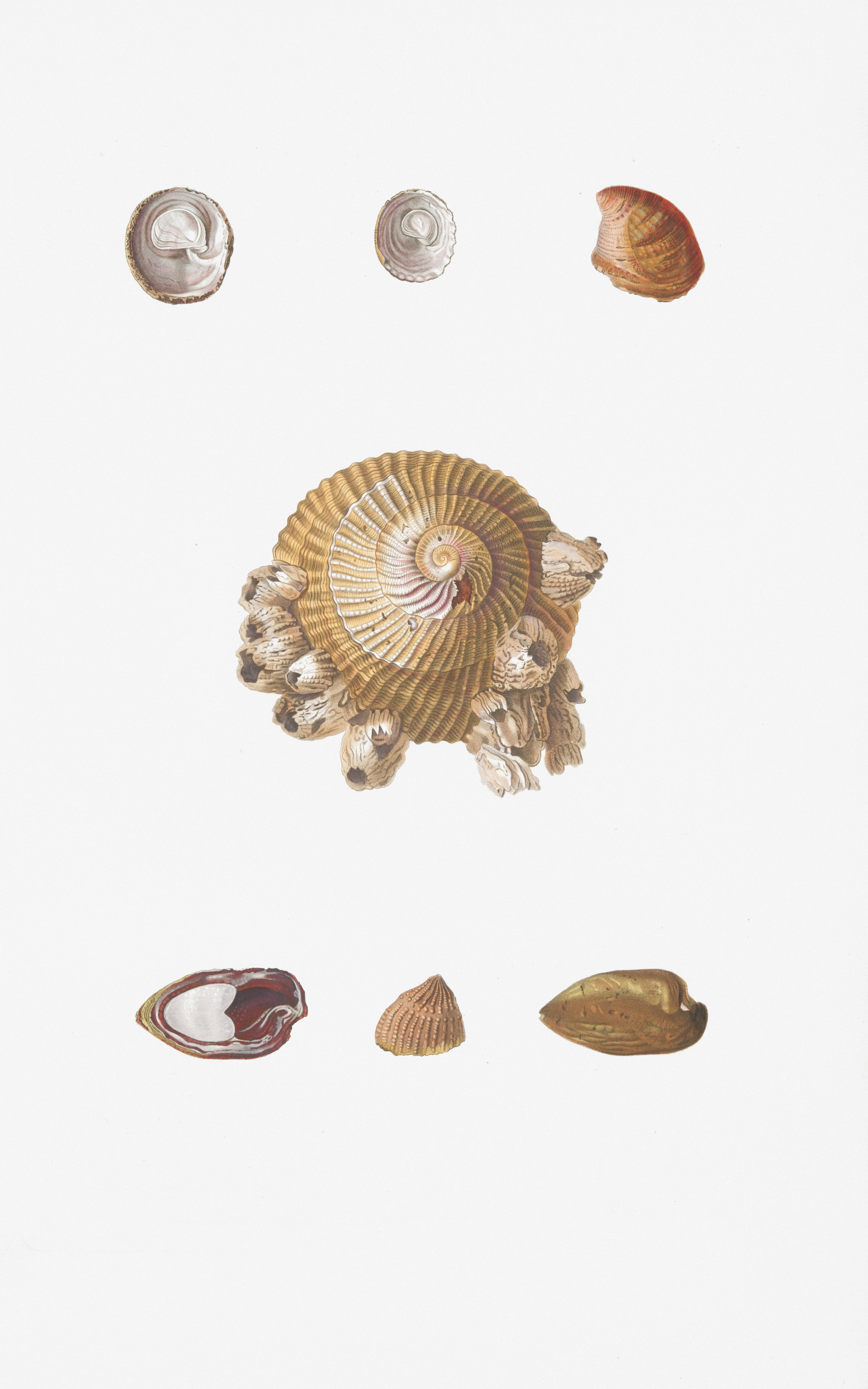 A visual guide depicting different skin tones and matching jewelry