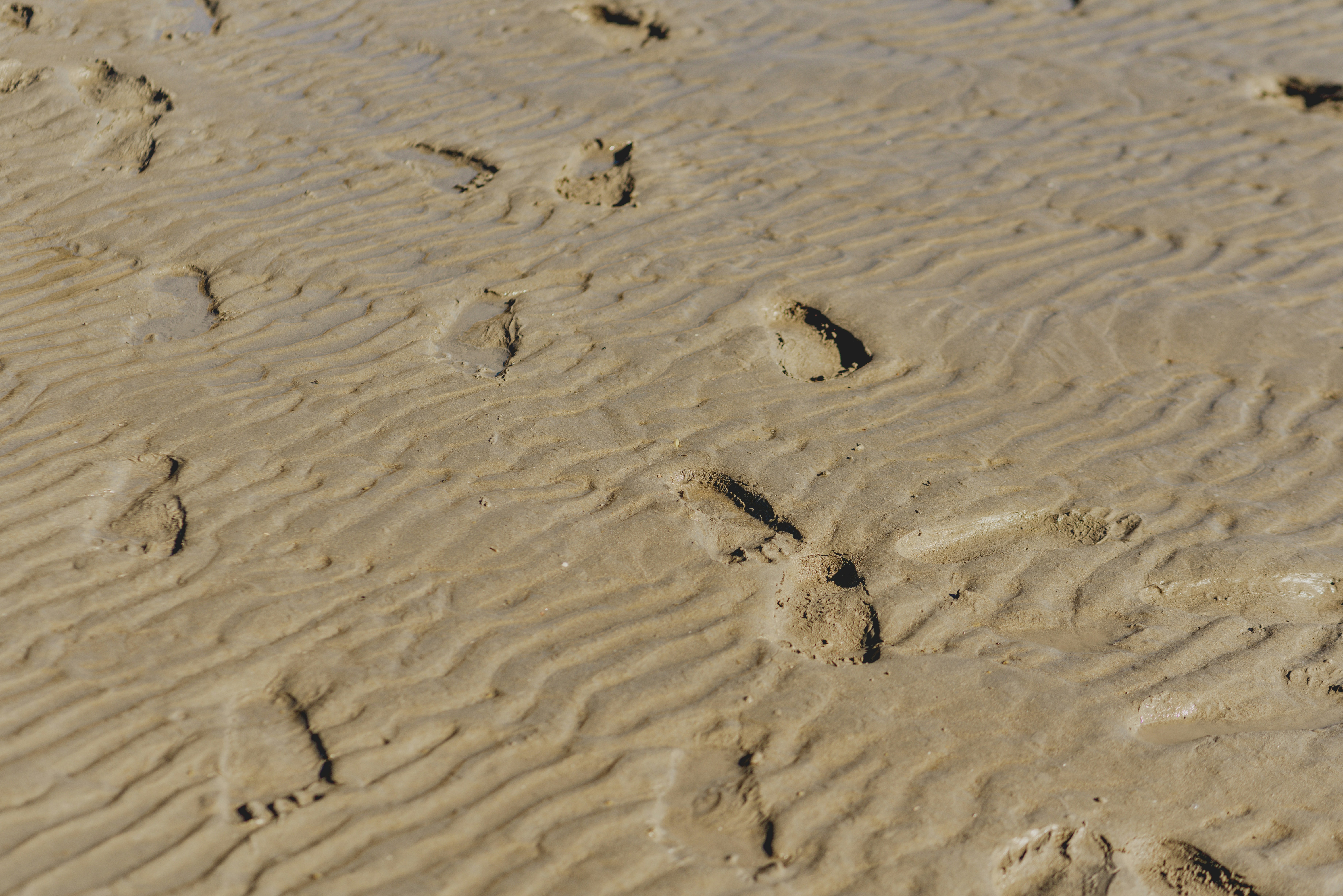 Photo by eugenivy_now