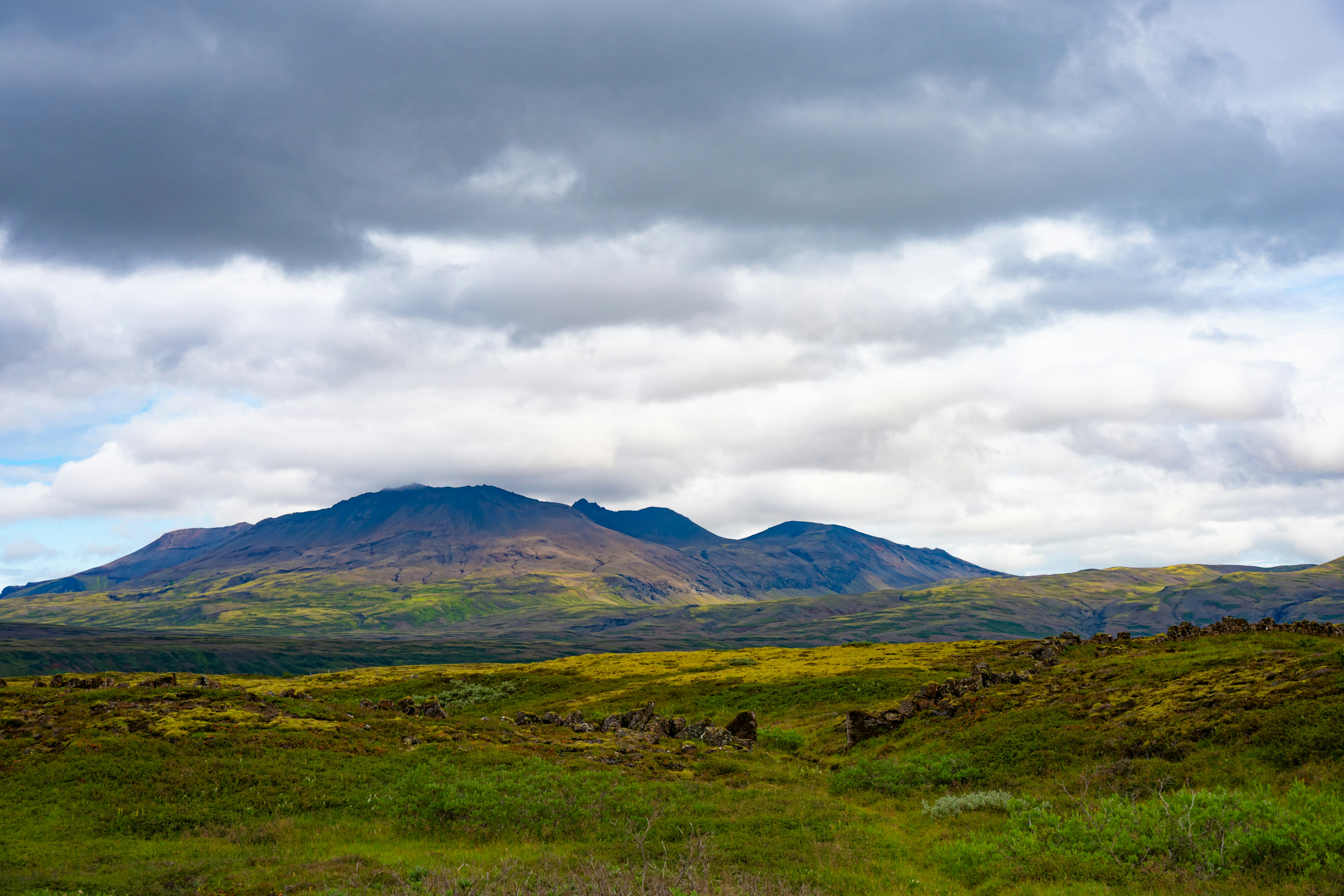 Photo by justmejuliee