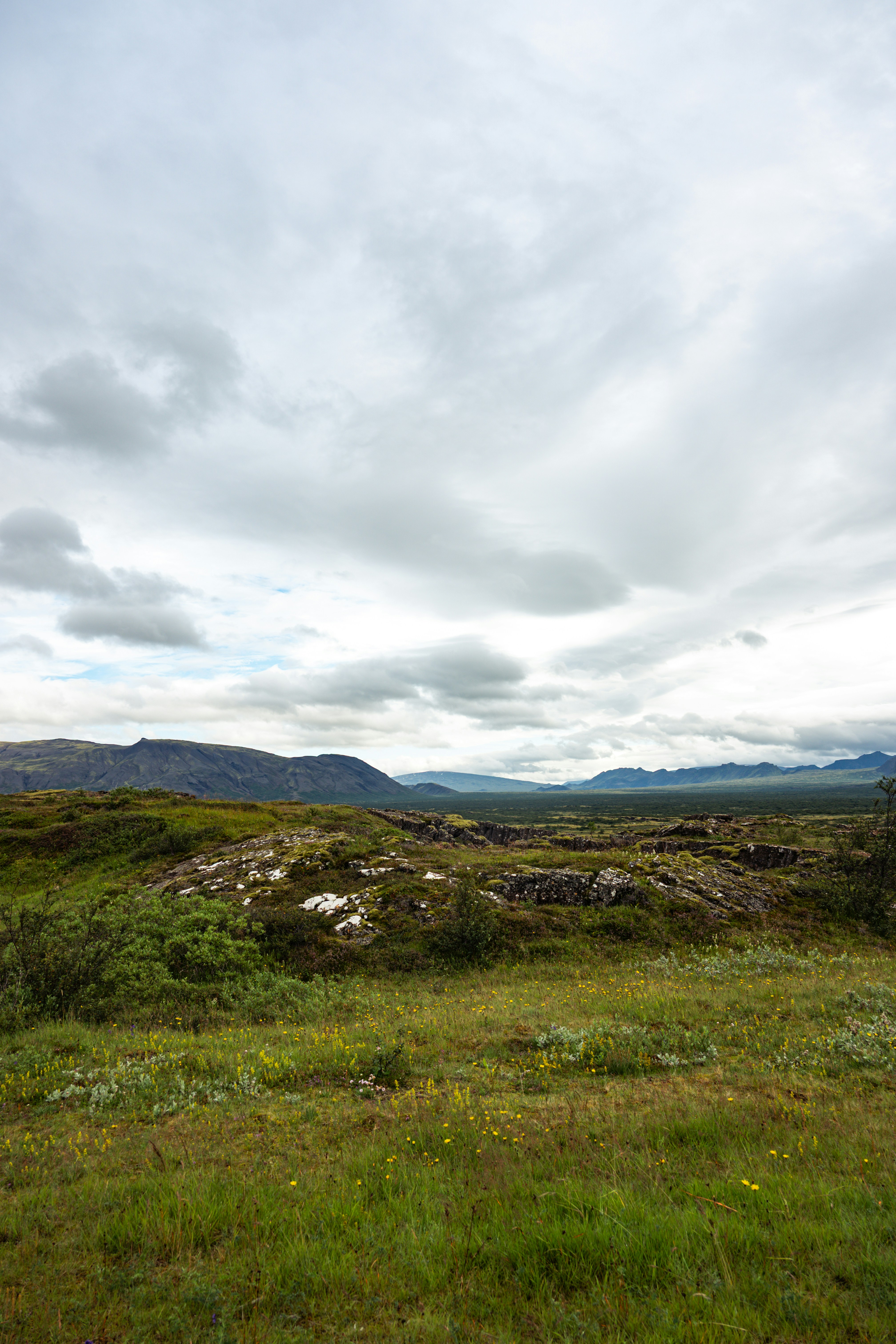 Photo by justmejuliee