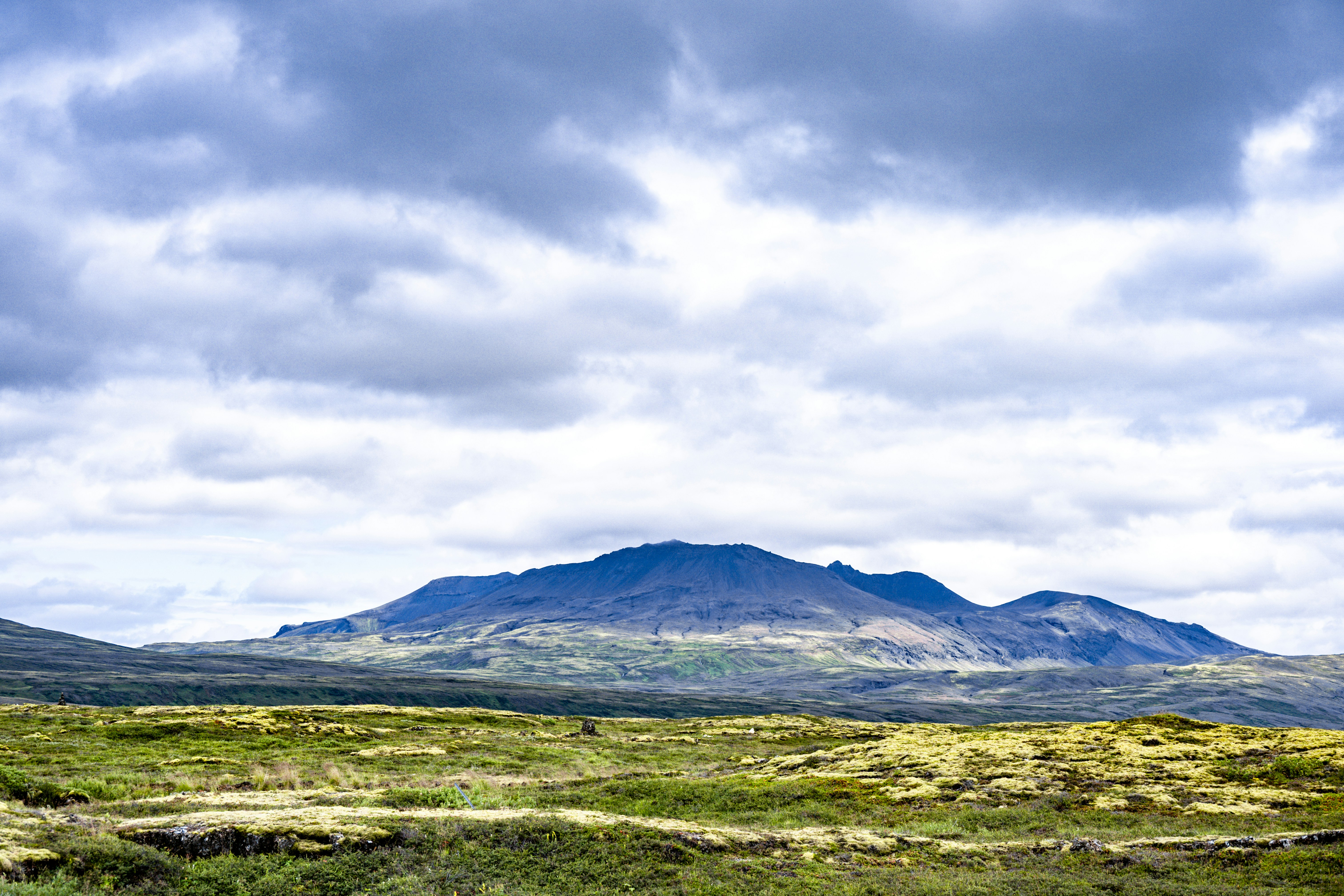 Photo by justmejuliee