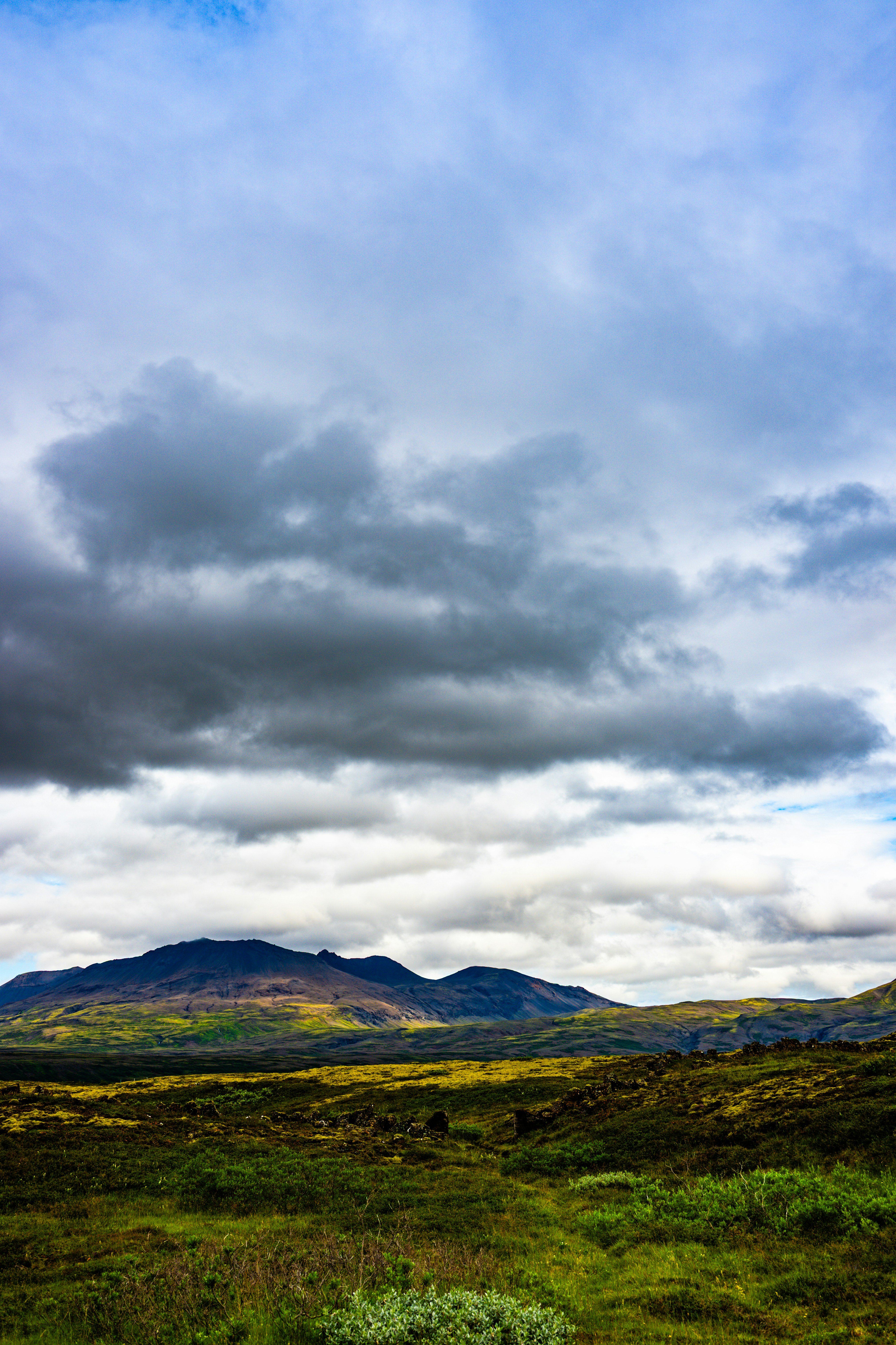 Photo by justmejuliee