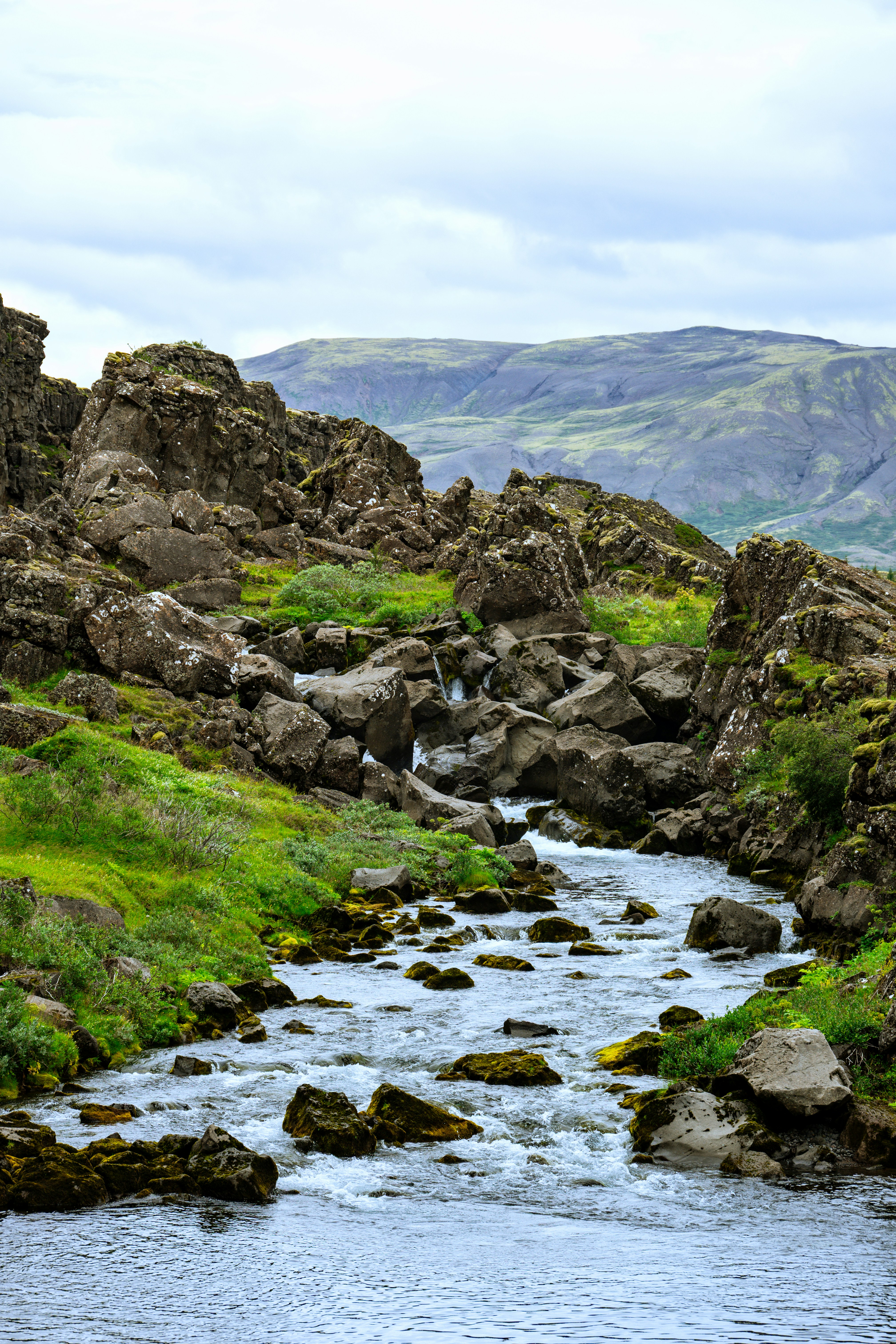 Photo by justmejuliee