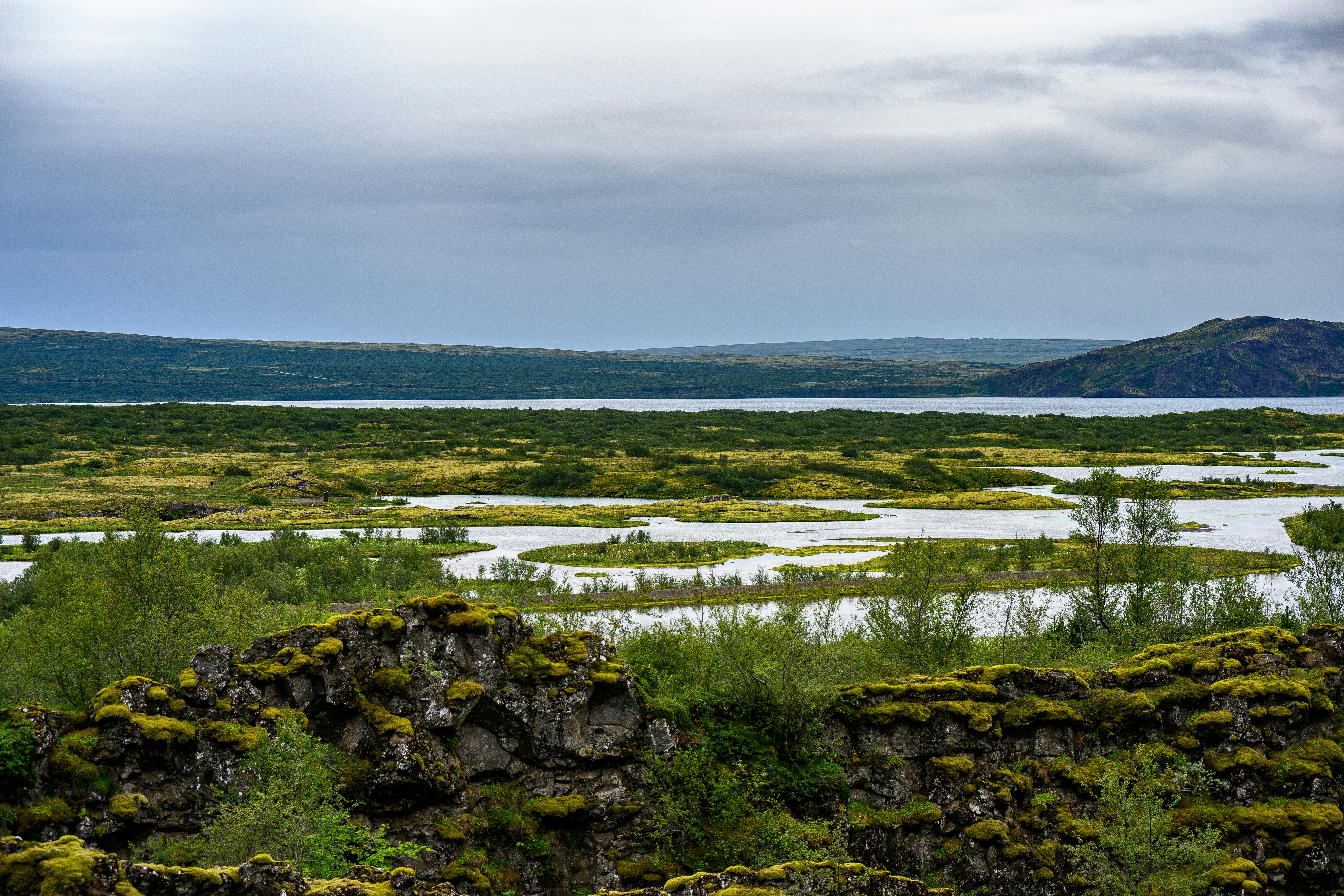 Photo by justmejuliee