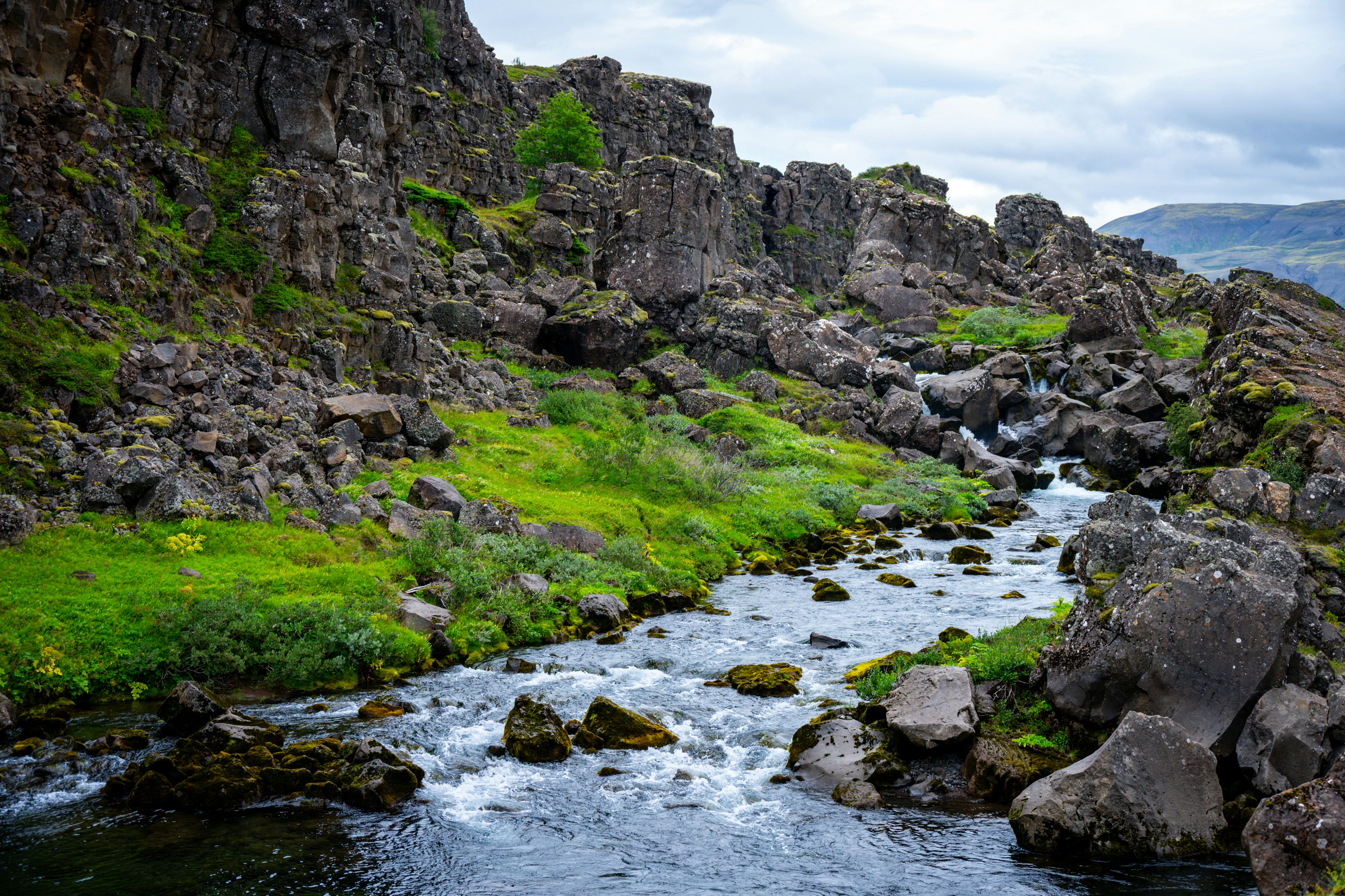 Photo by justmejuliee