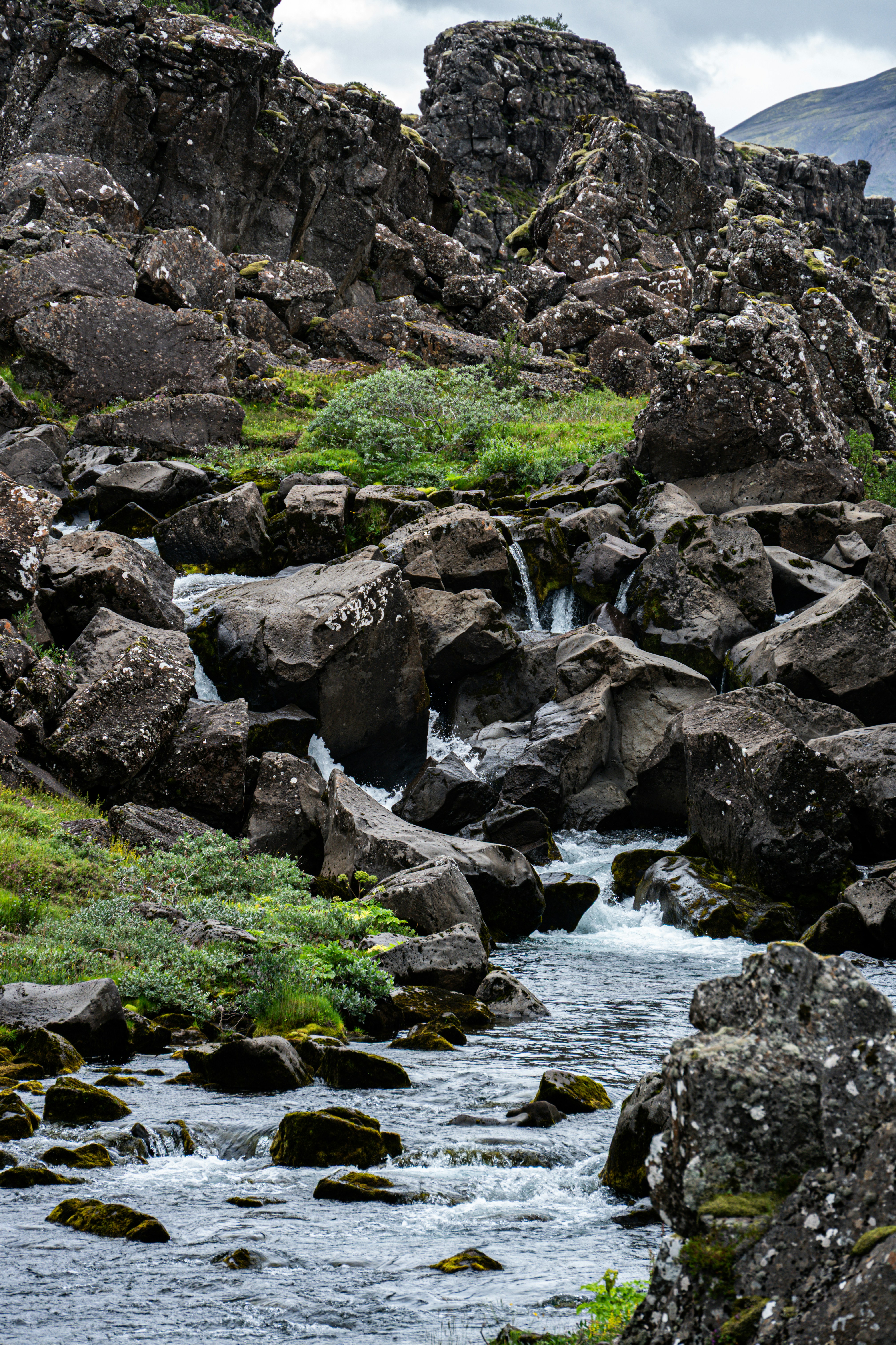 Photo by justmejuliee