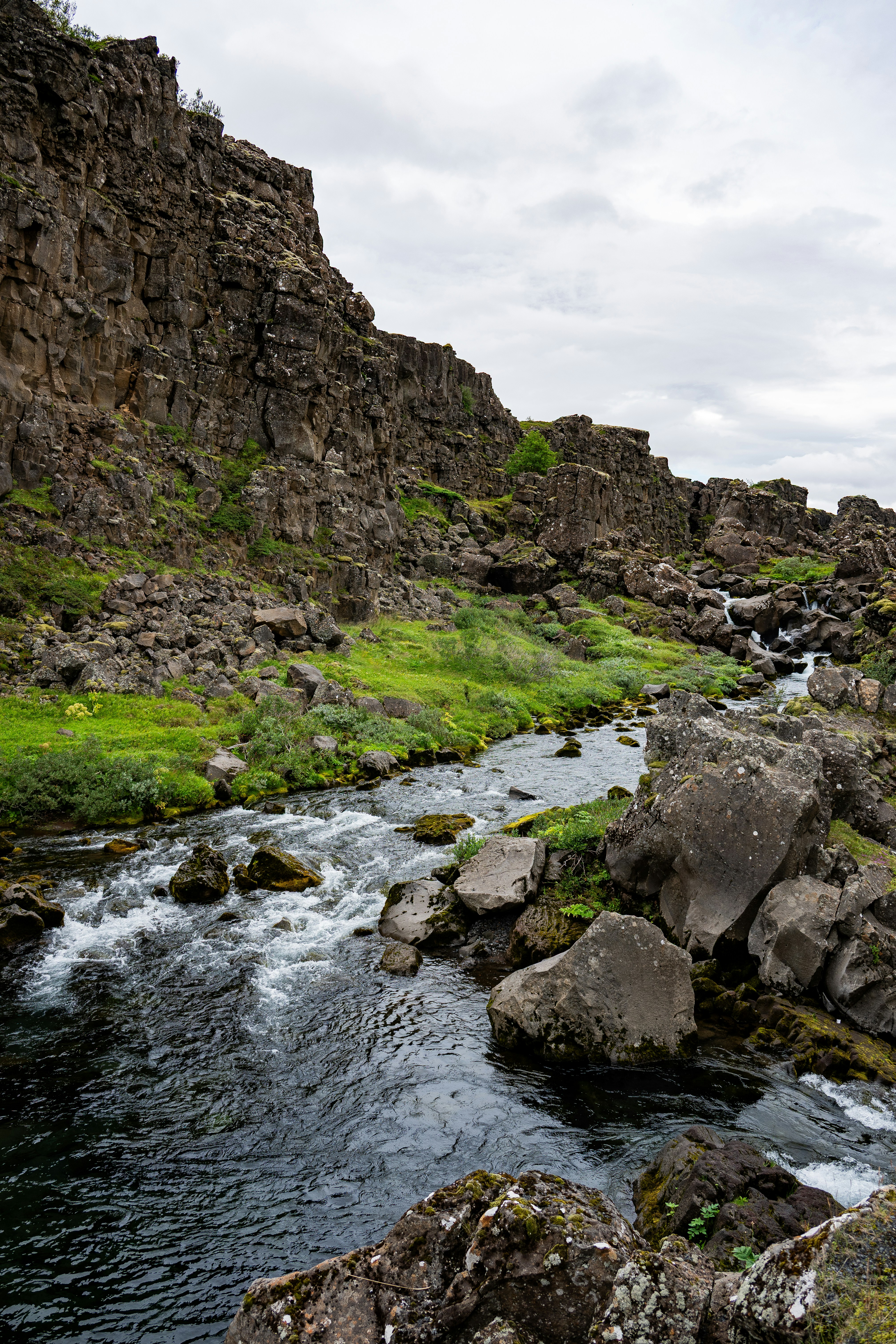 Photo by justmejuliee