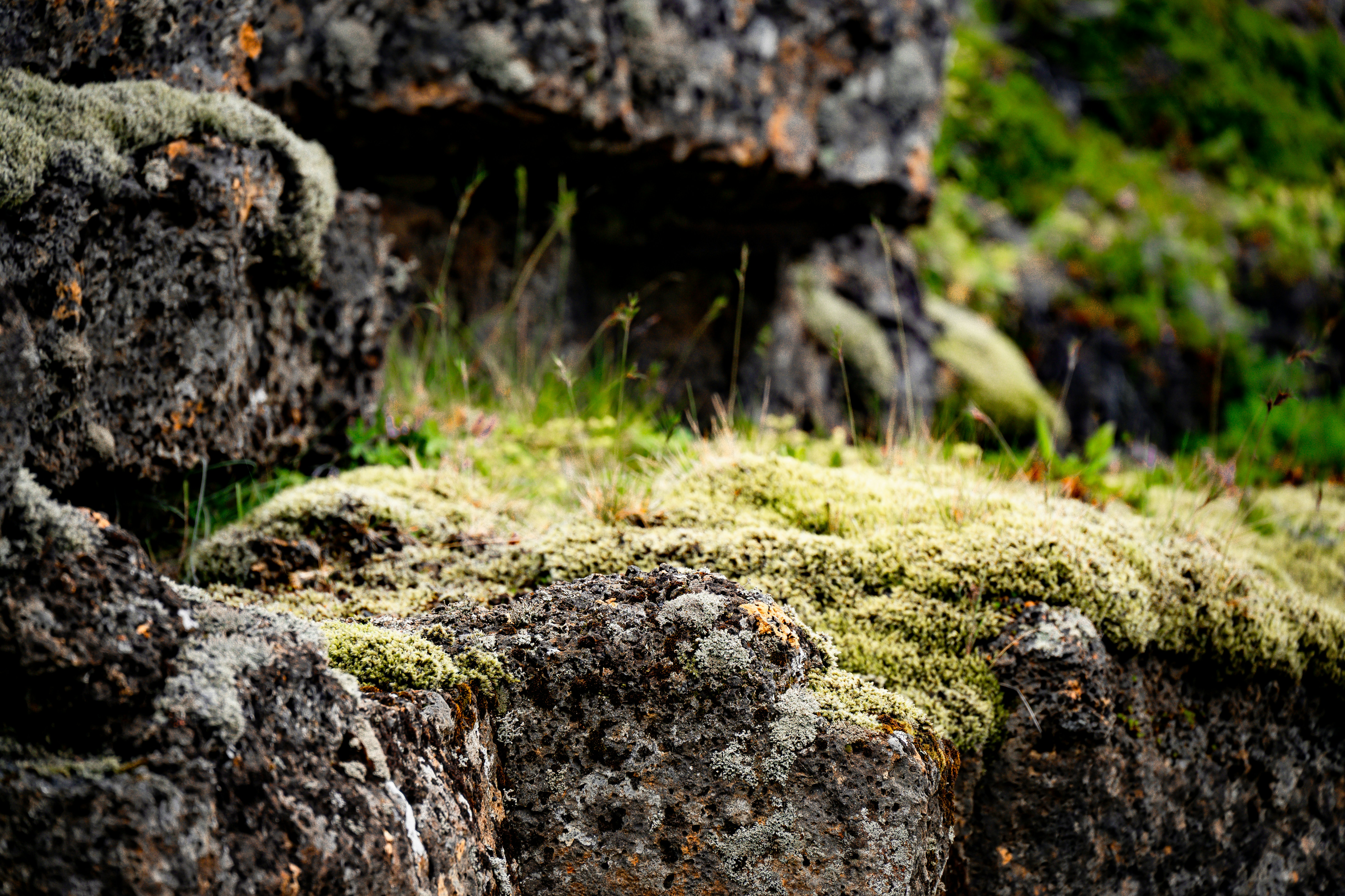 Photo by justmejuliee