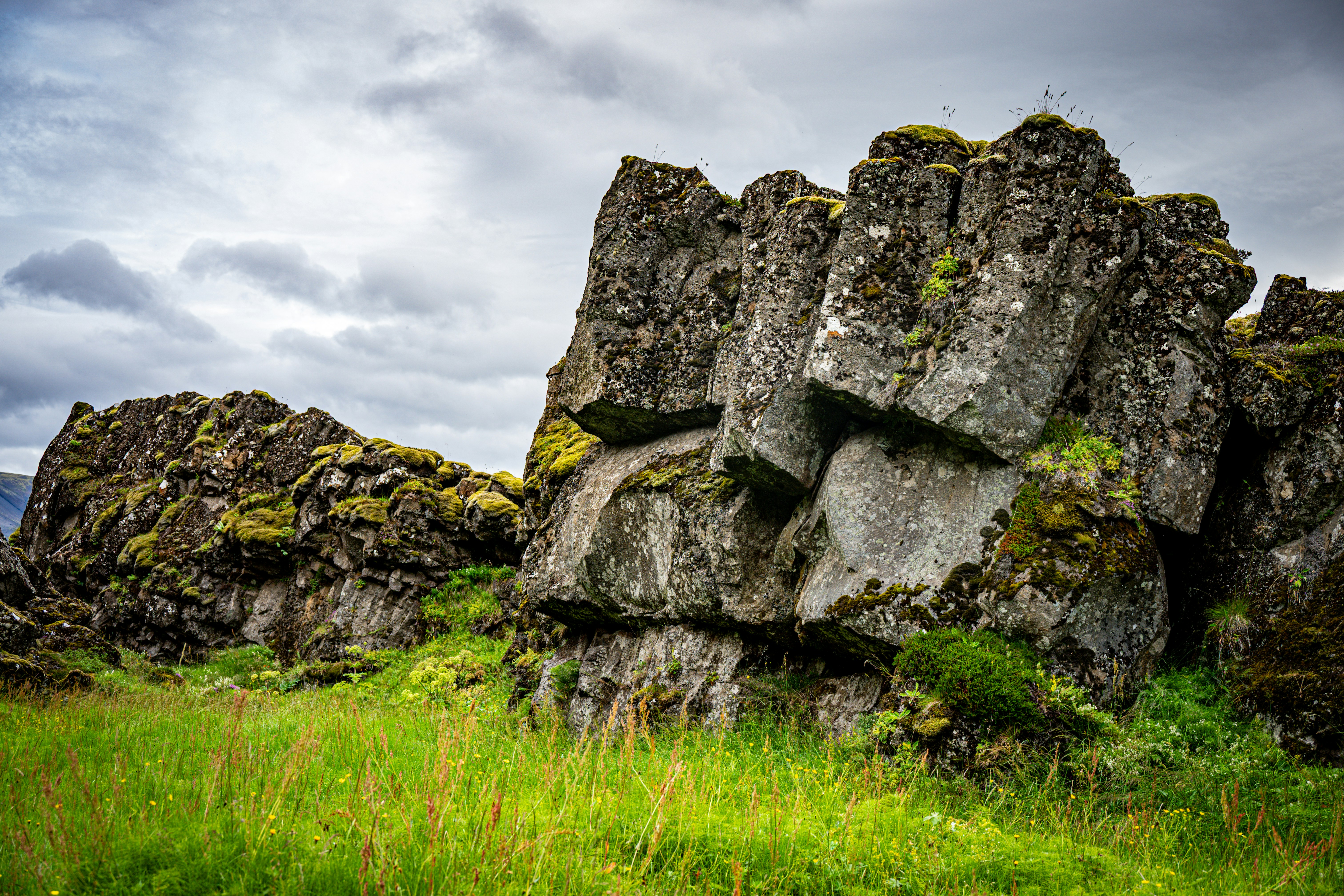 Photo by justmejuliee