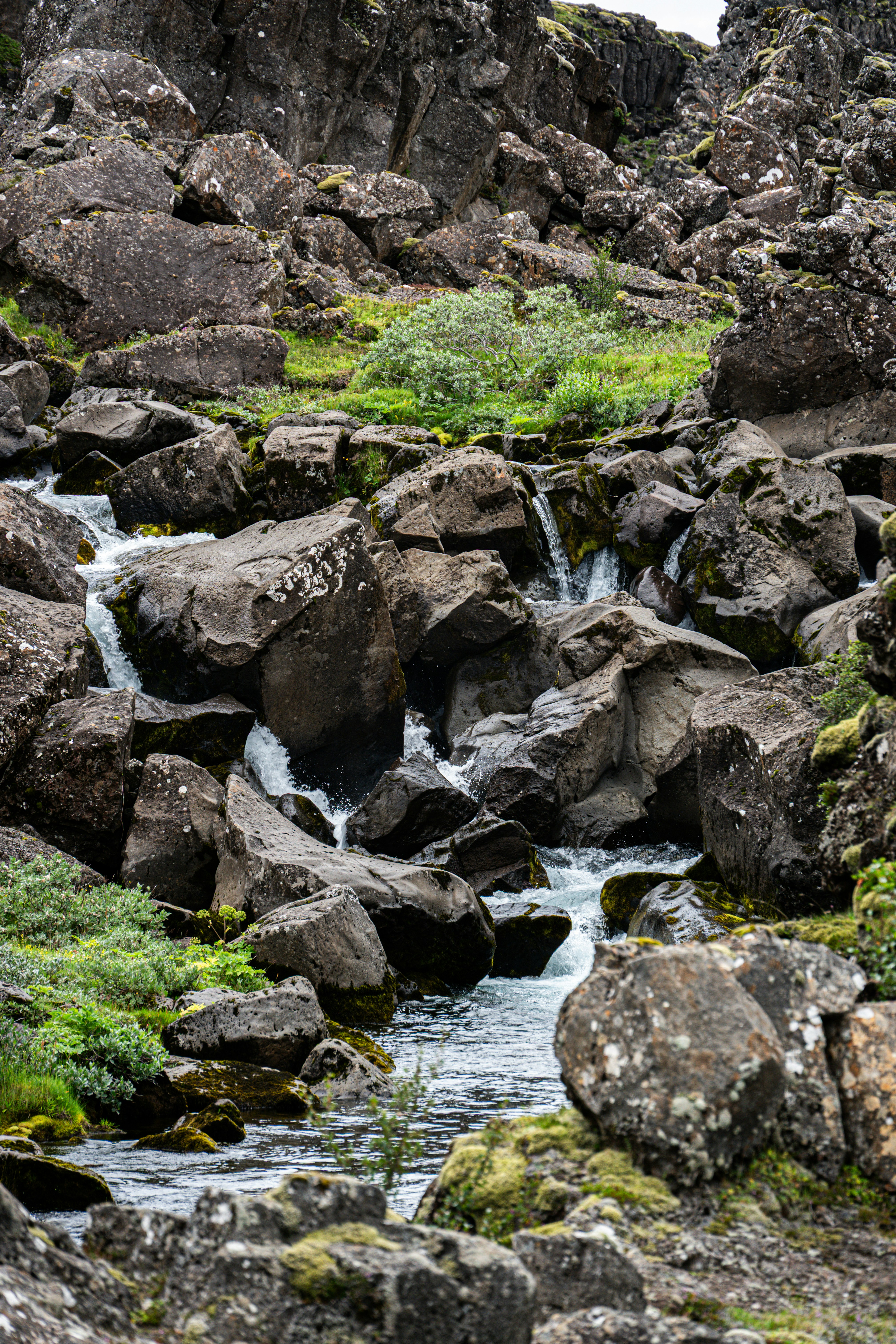 Photo by justmejuliee