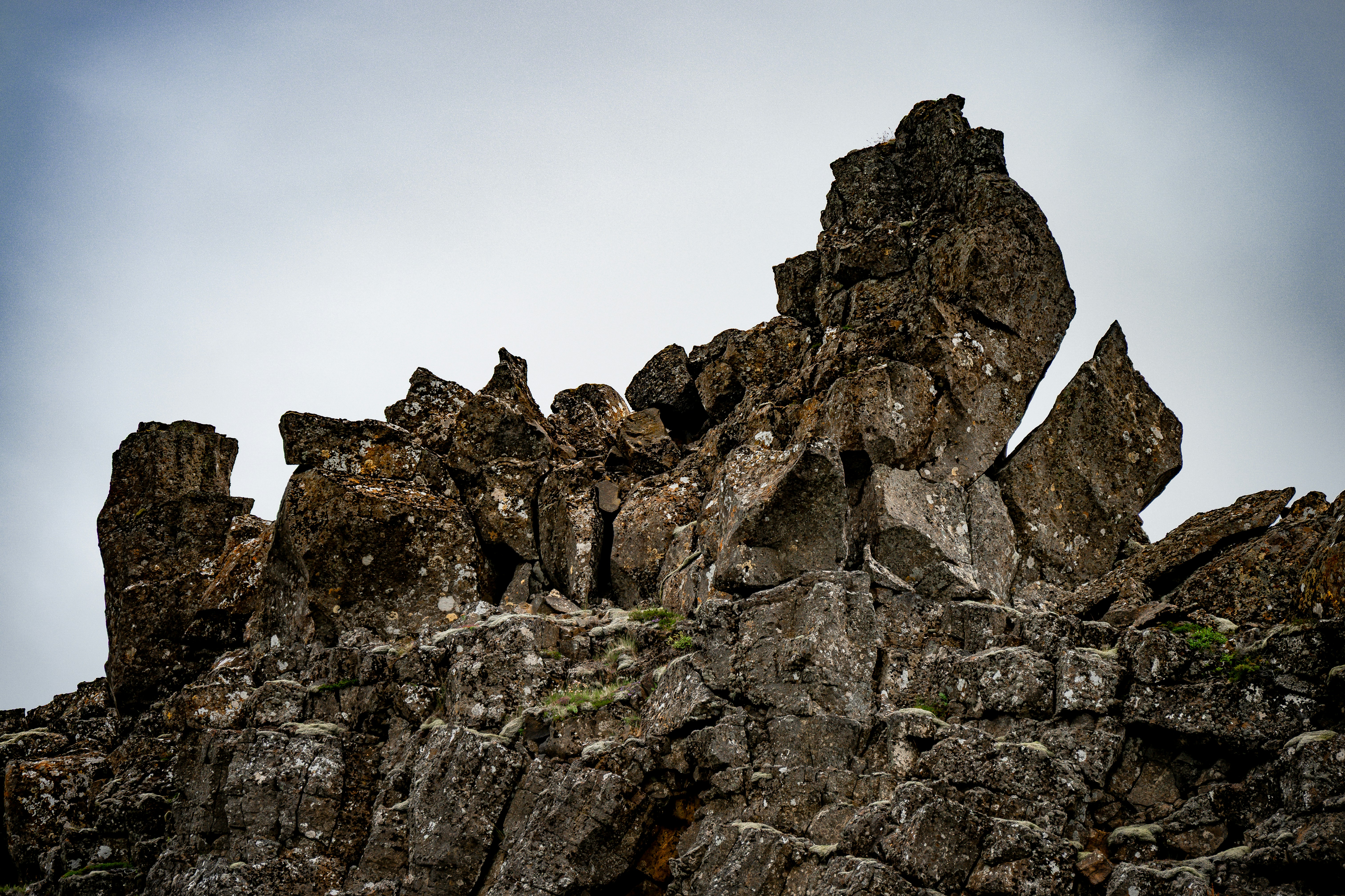 Photo by justmejuliee