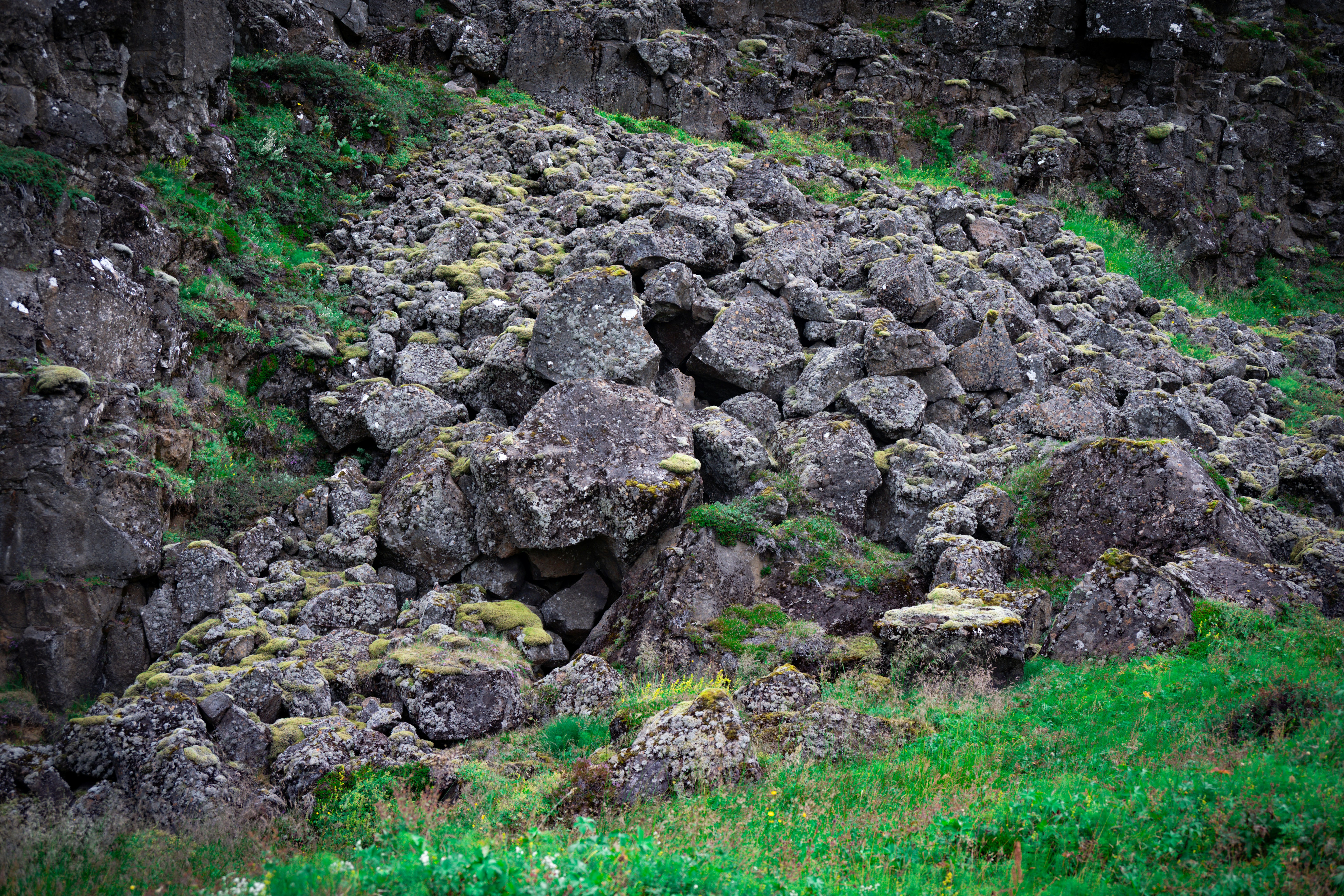 Photo by justmejuliee