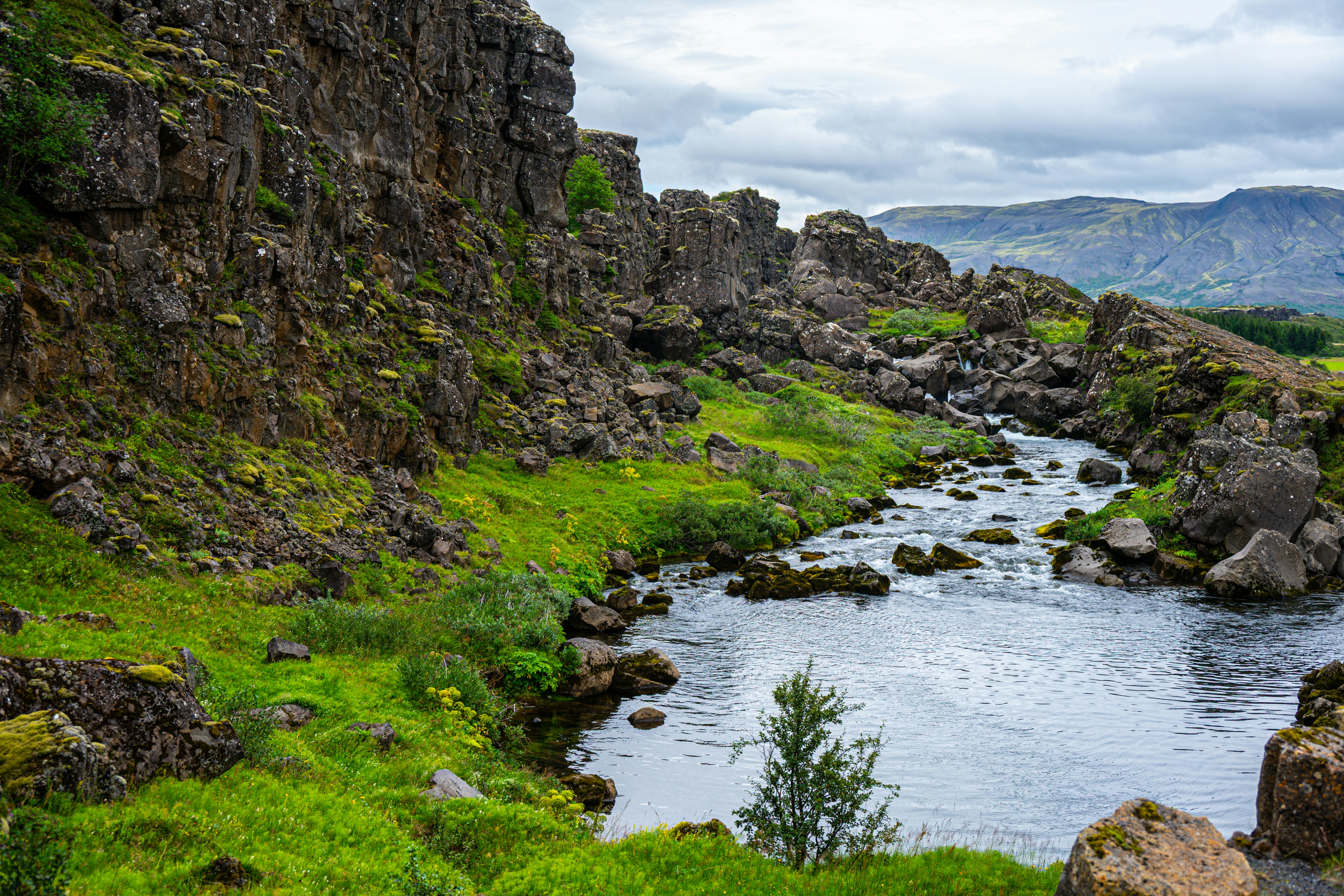 Photo by justmejuliee