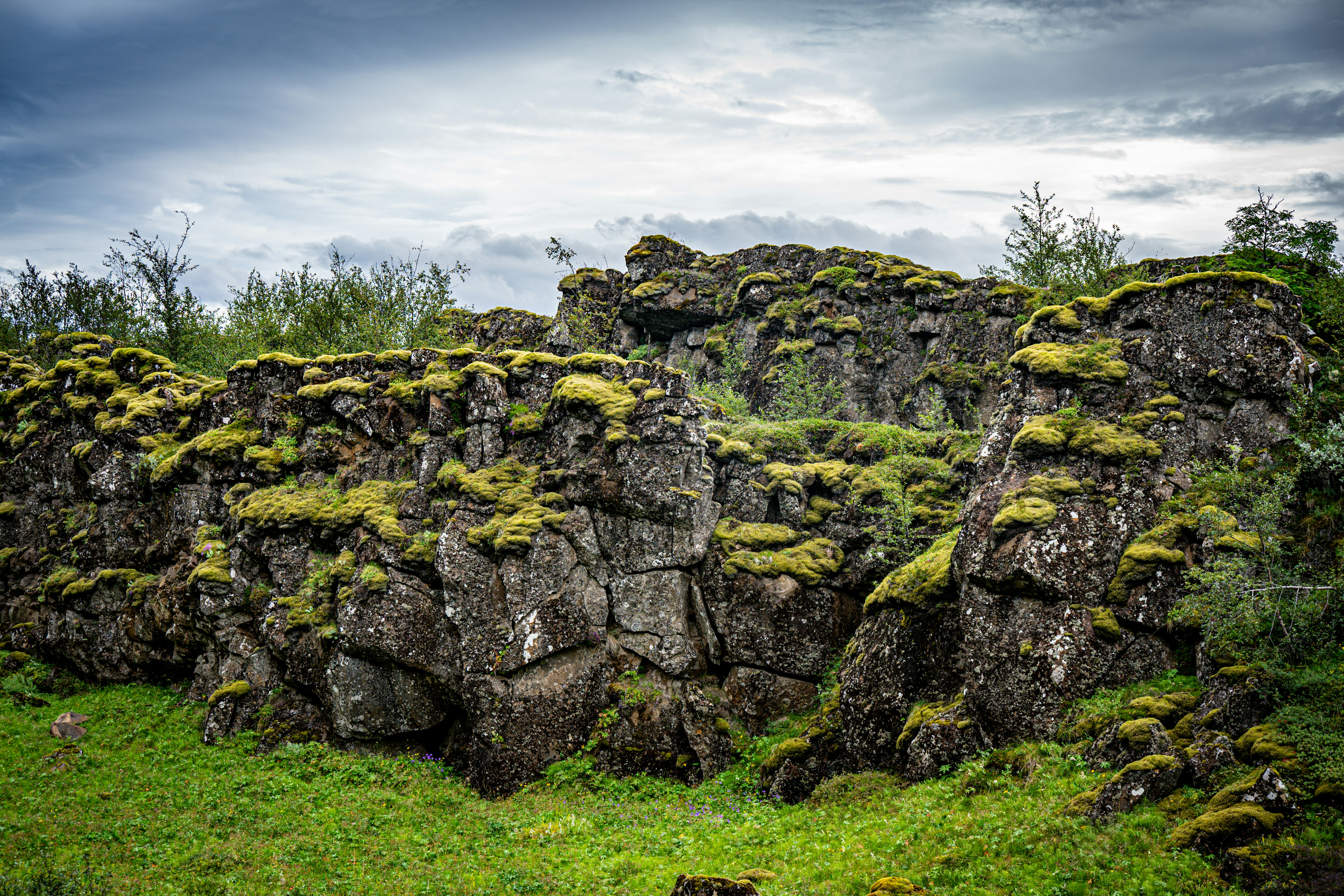 Photo by justmejuliee