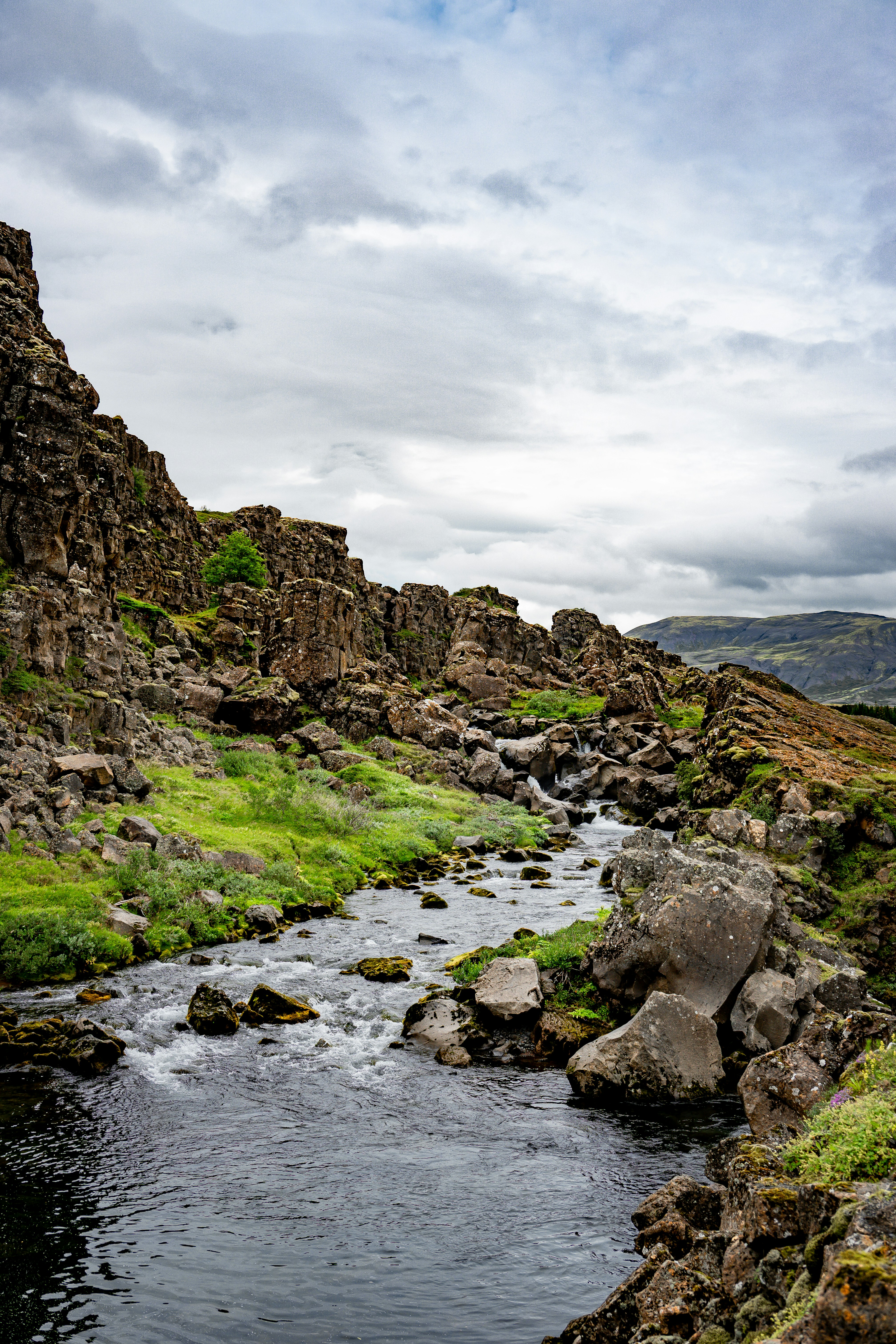 Photo by justmejuliee