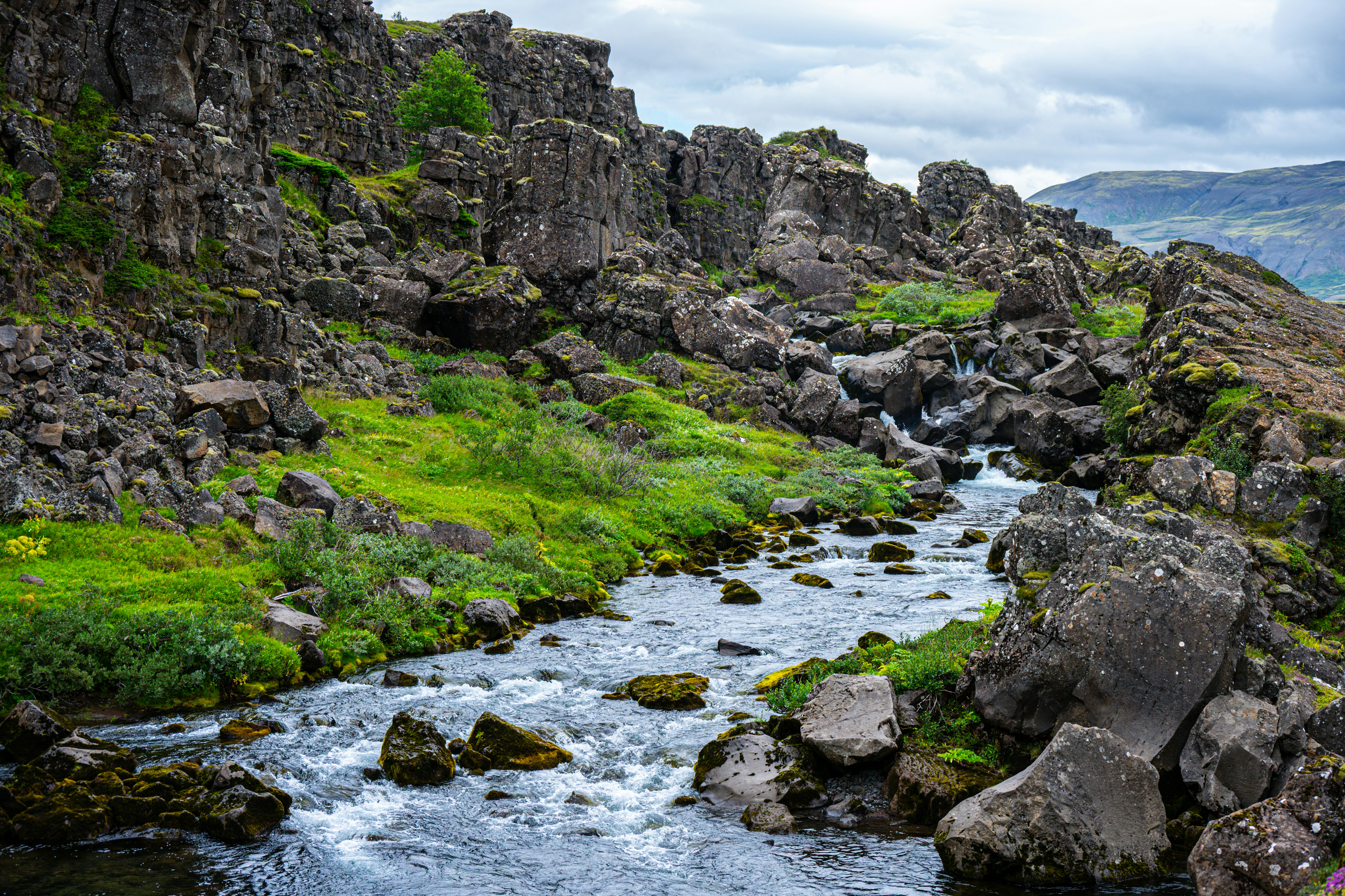 Photo by justmejuliee