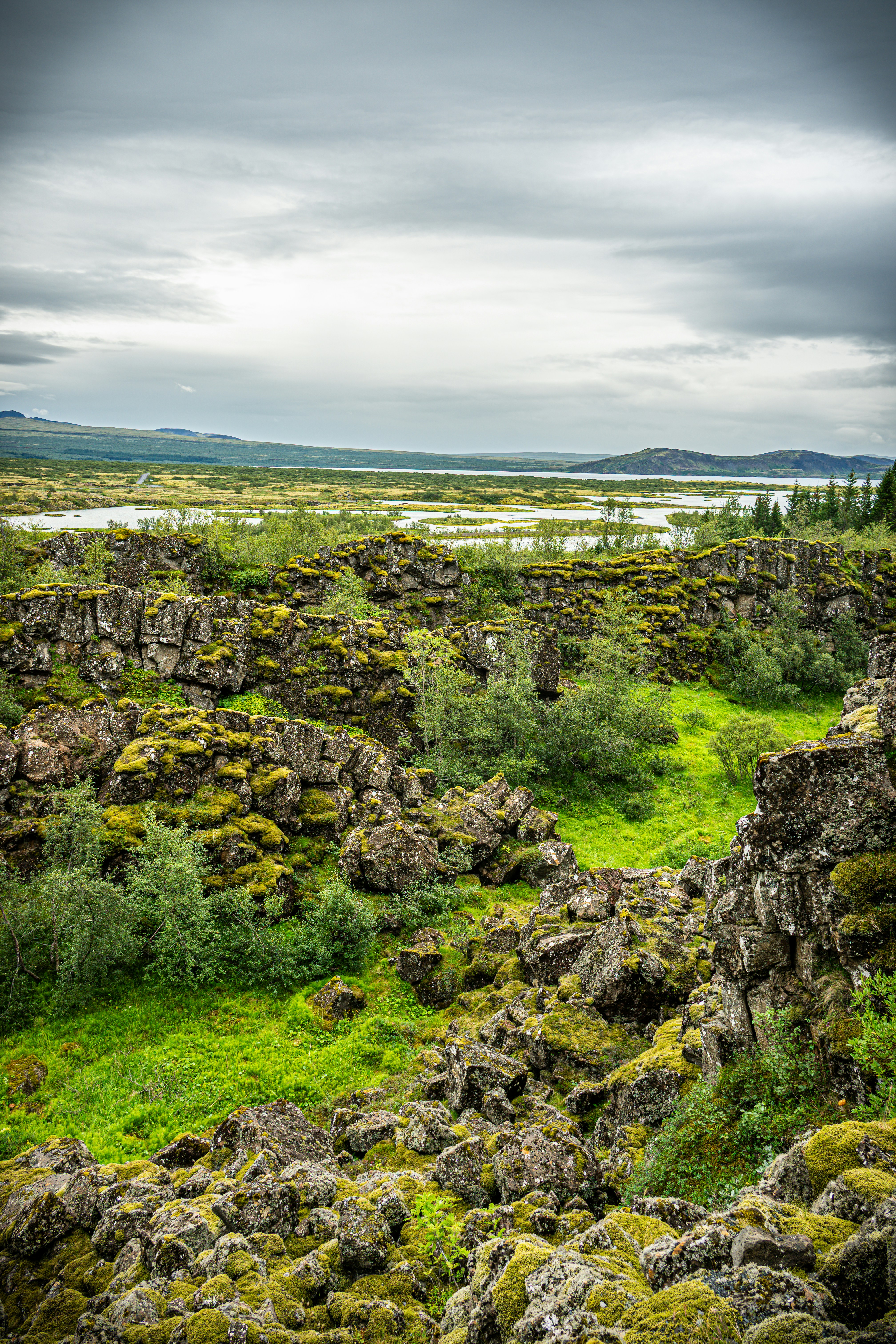 Photo by justmejuliee